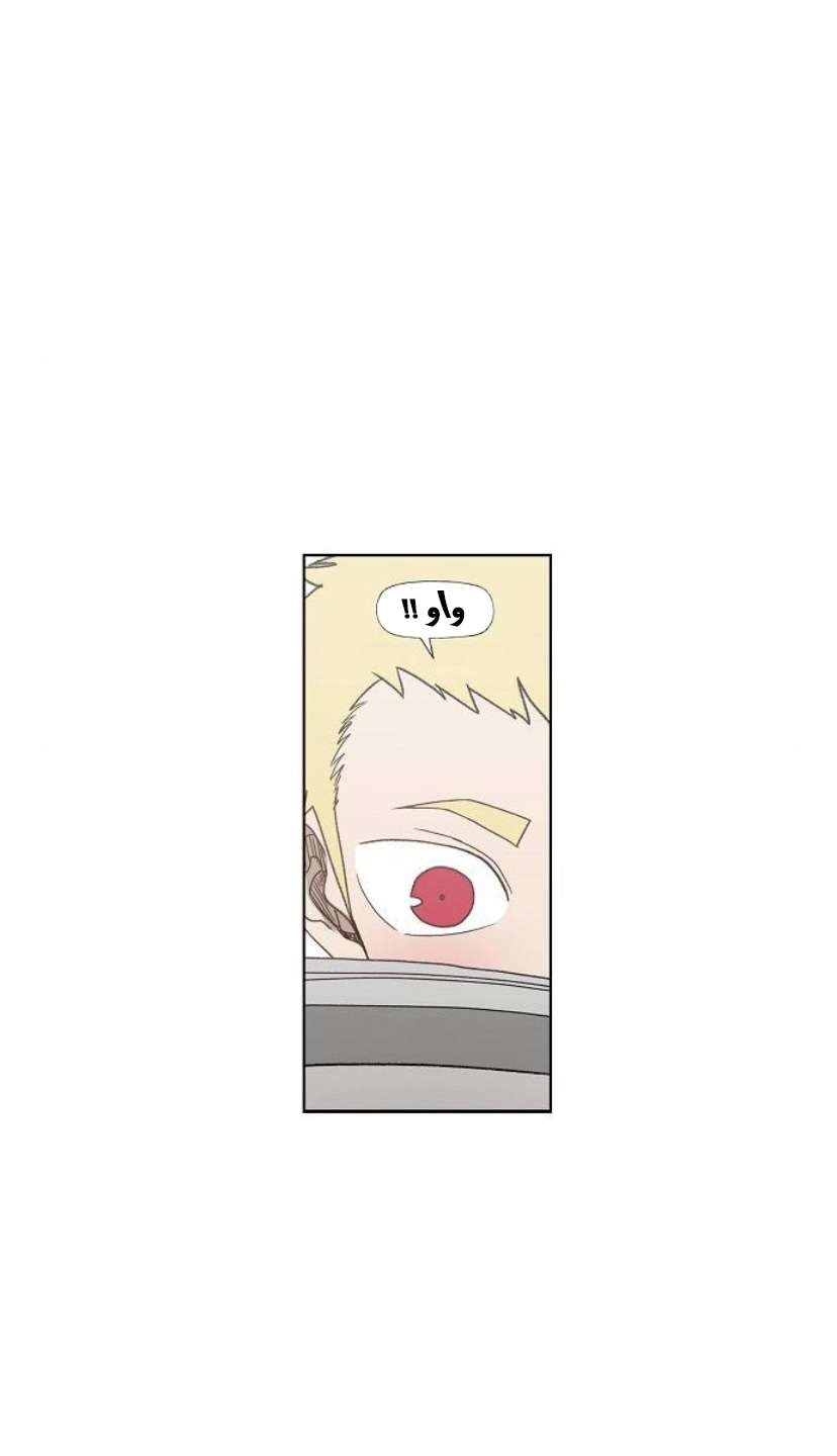 Read الملاكم ar Manga Online