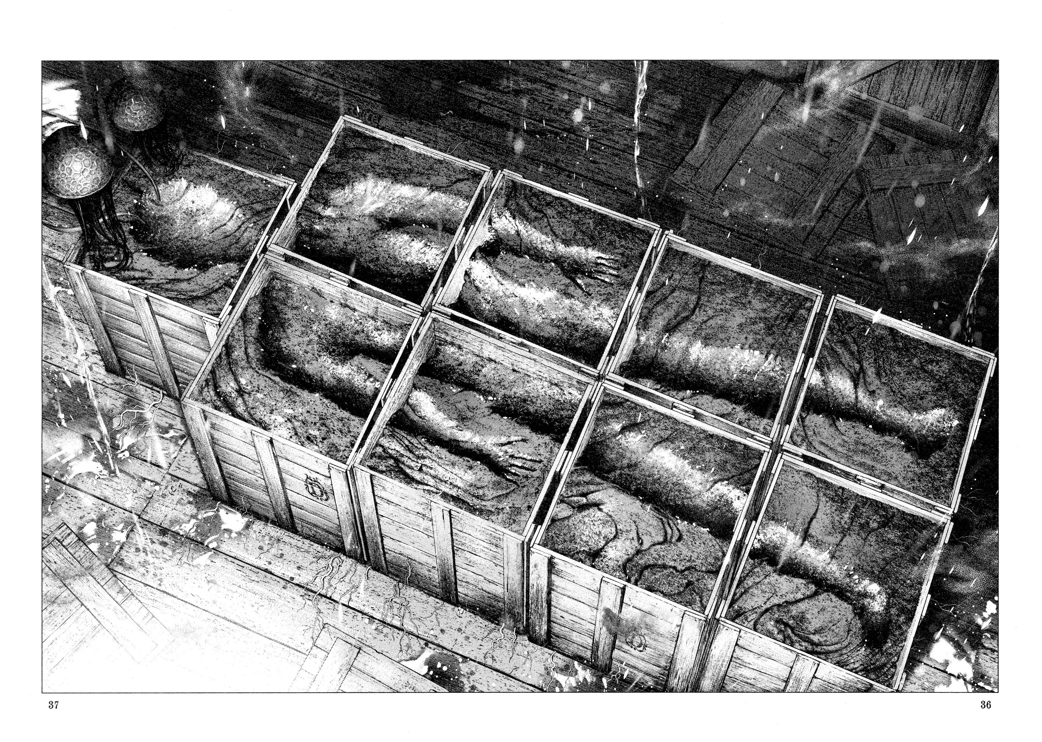 Read DRCL midnight children AR Manga Online