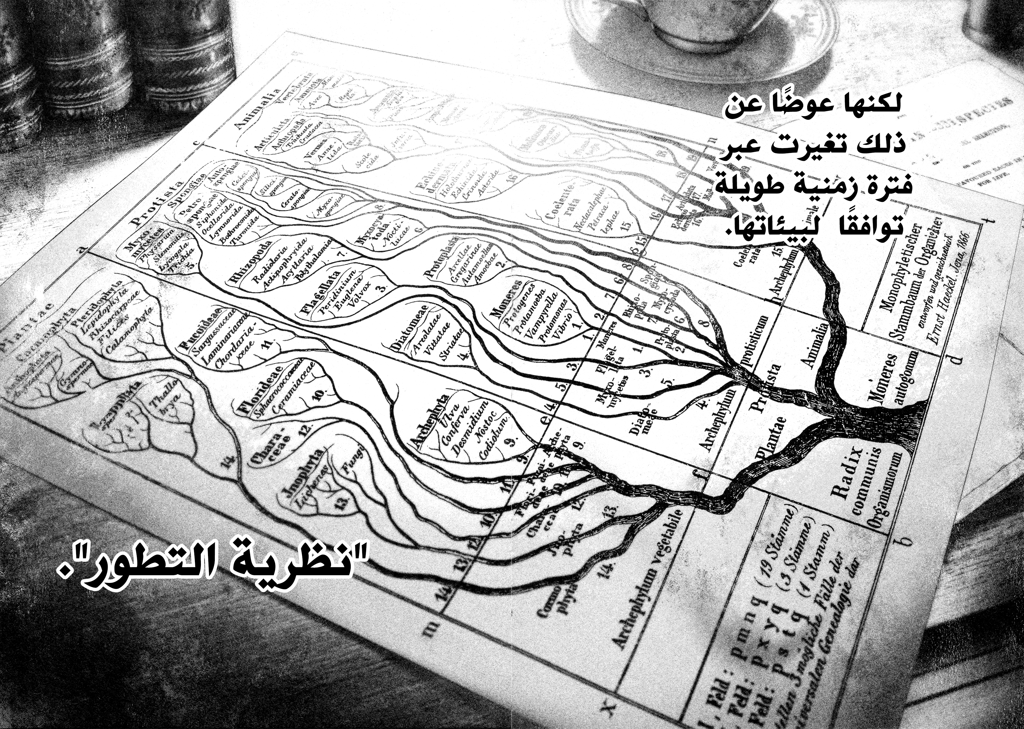 Read DRCL midnight children AR Manga Online