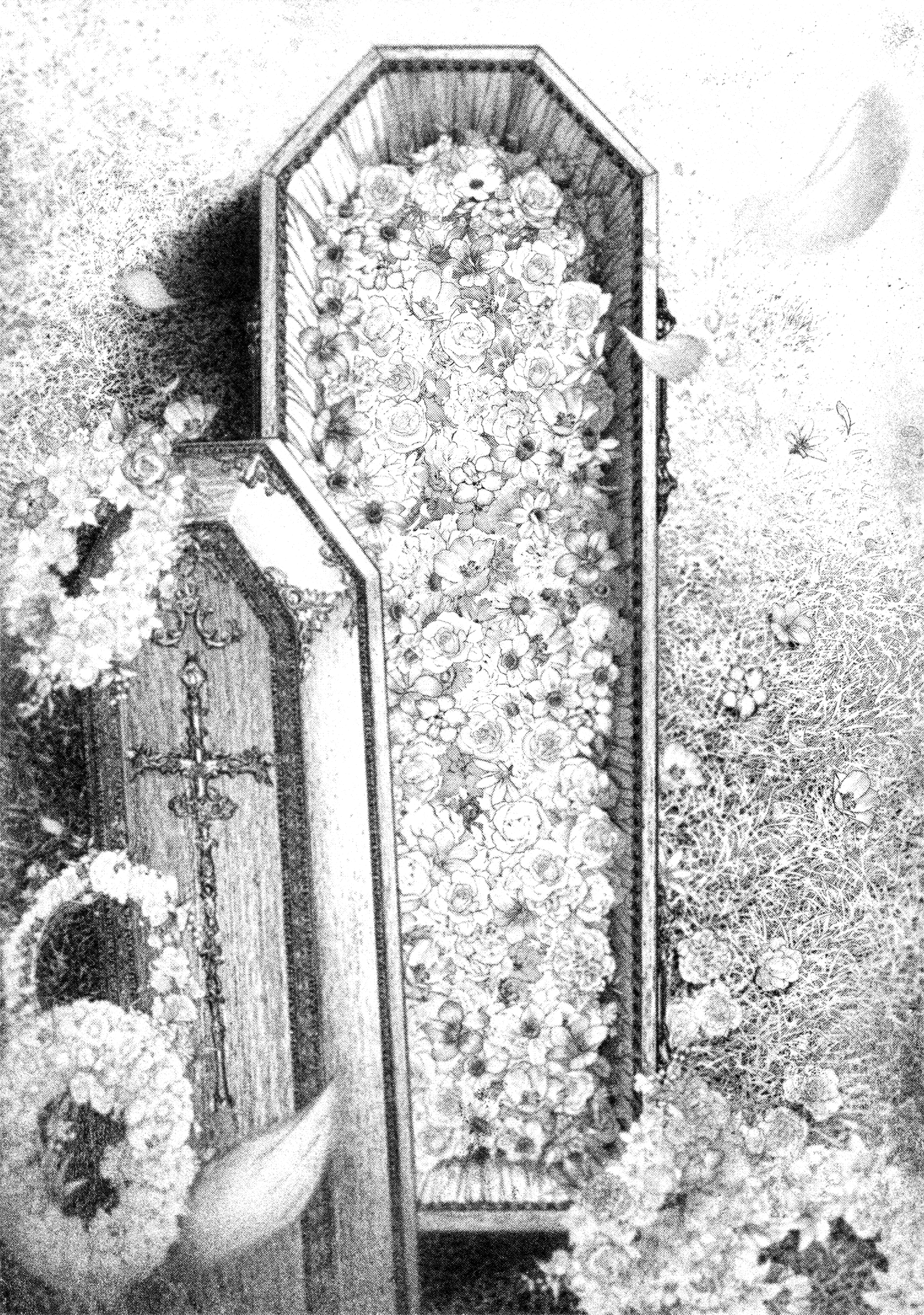 Read DRCL midnight children AR Manga Online