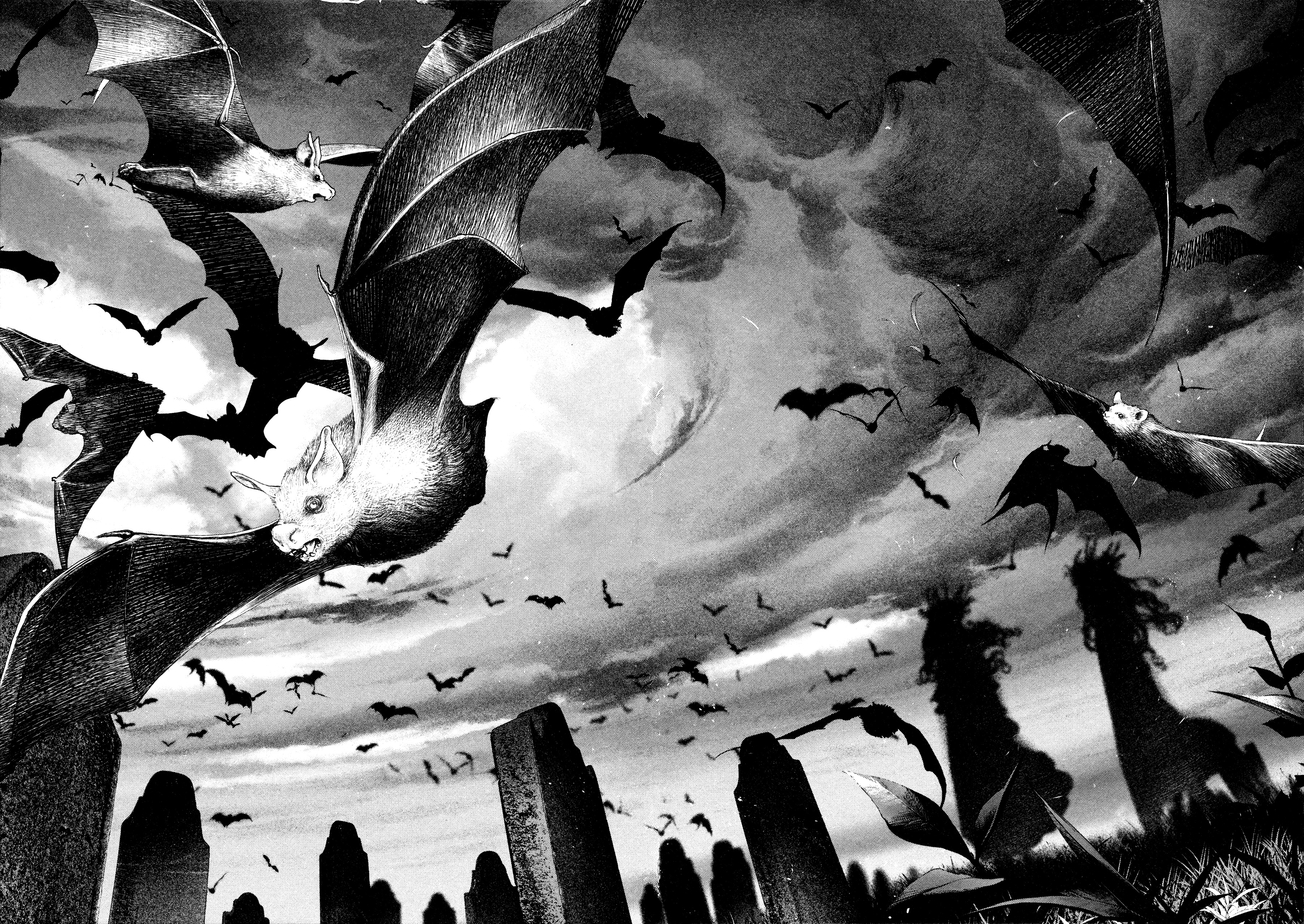 Read DRCL midnight children AR Manga Online