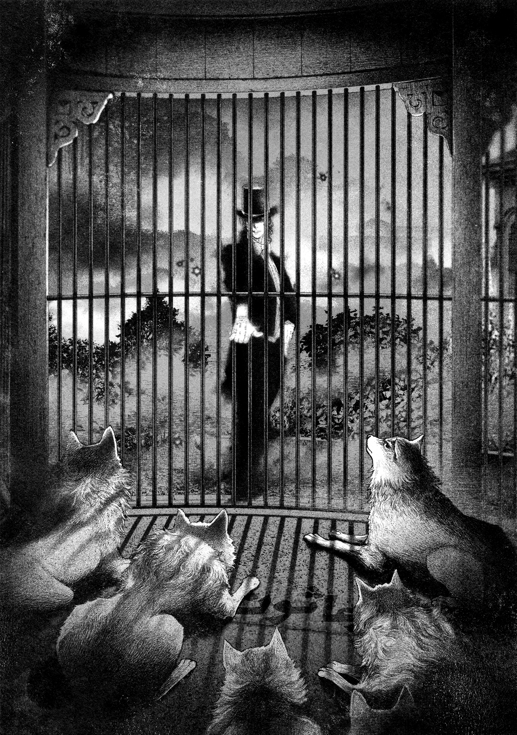 Read DRCL midnight children AR Manga Online