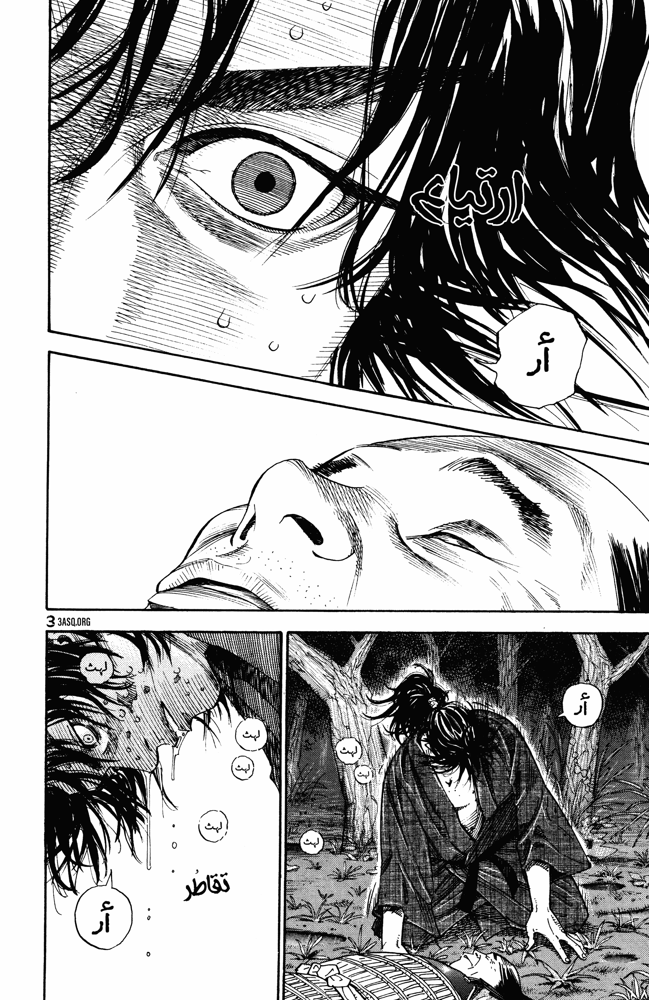 Read Vagabond ar Manga Online