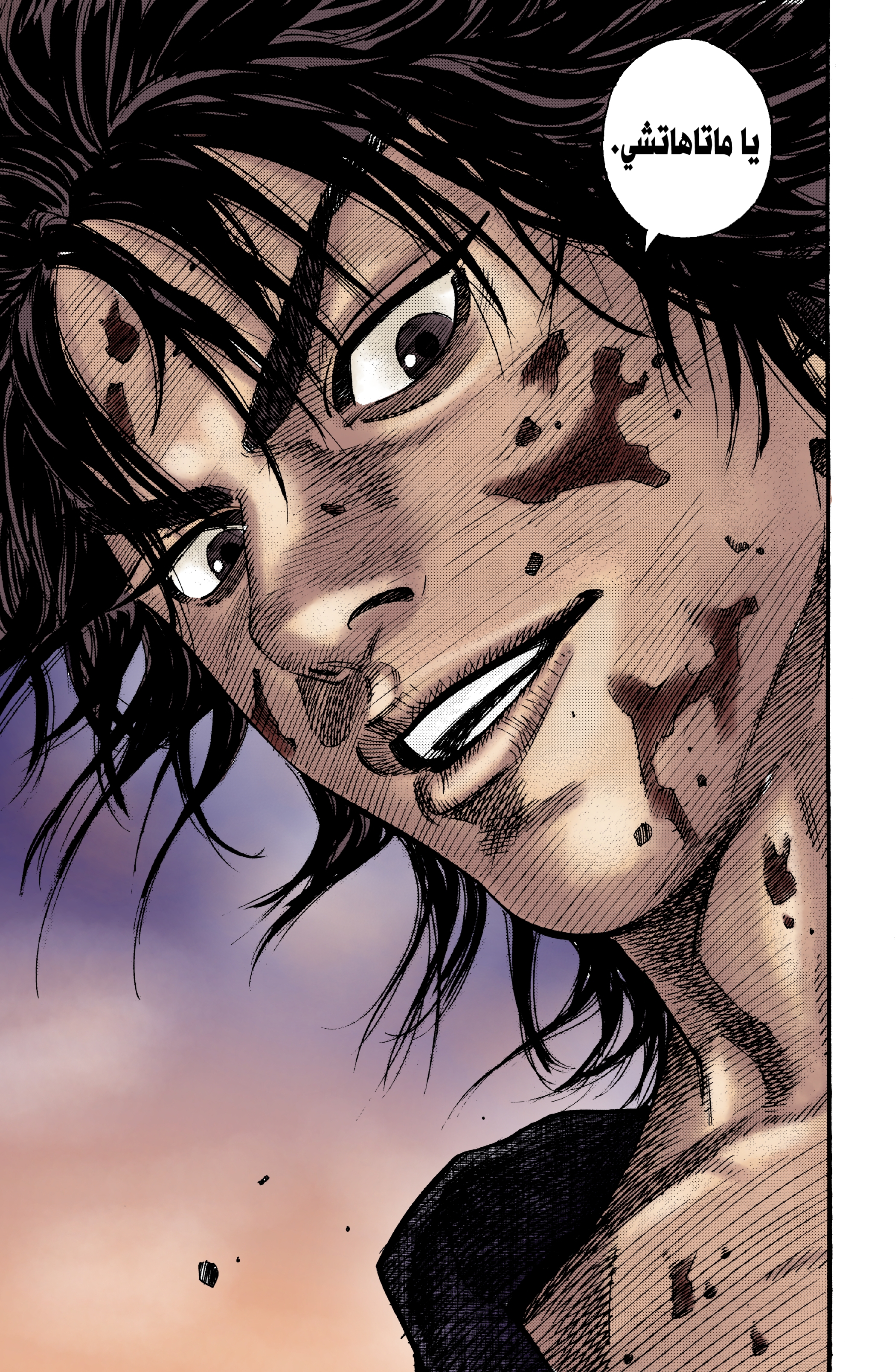 Read Vagabond ar Manga Online