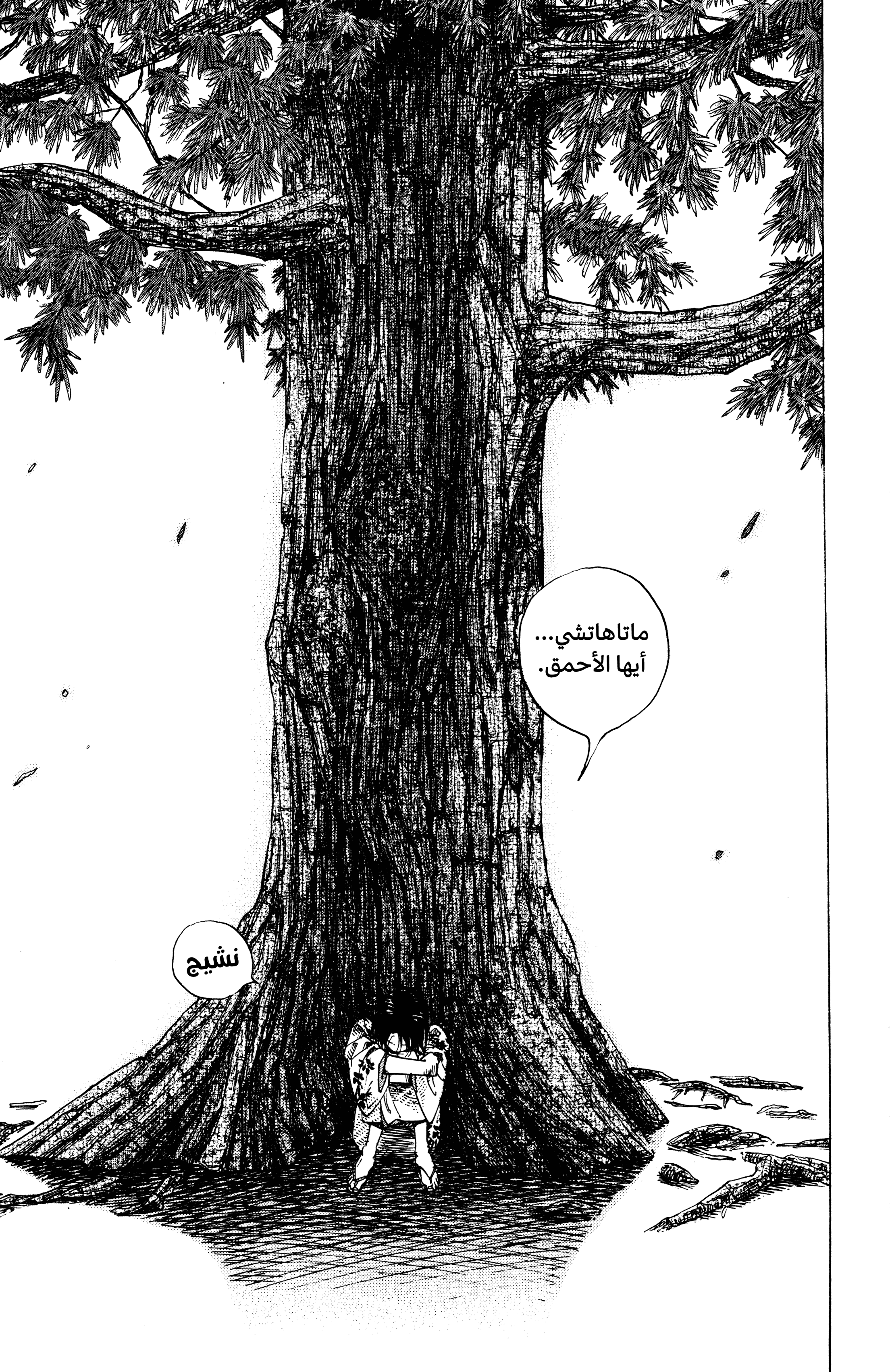 Read Vagabond ar Manga Online