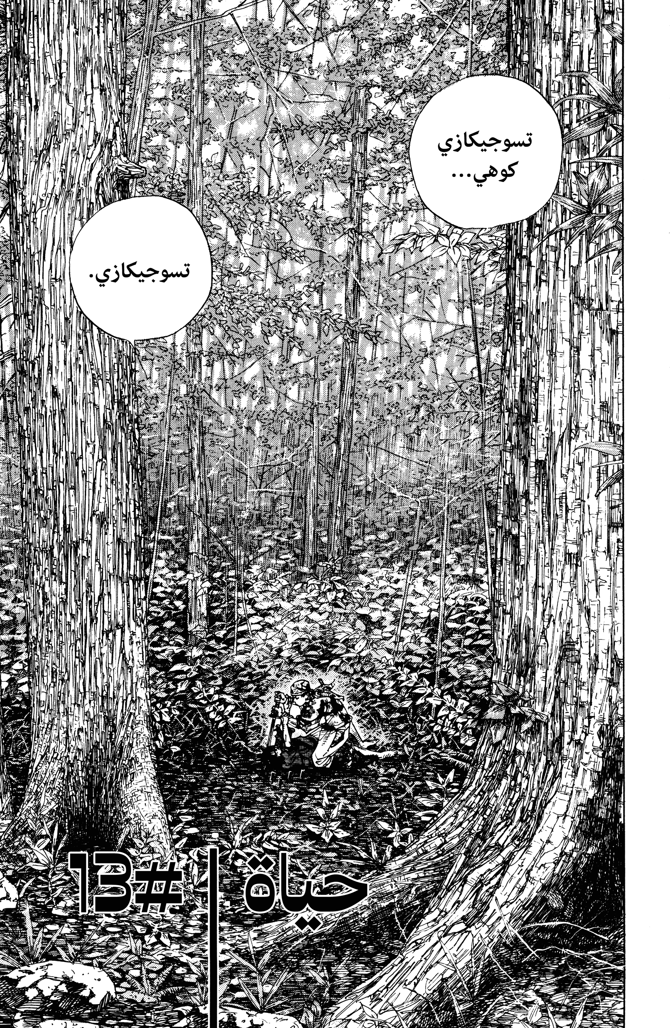 Read Vagabond ar Manga Online