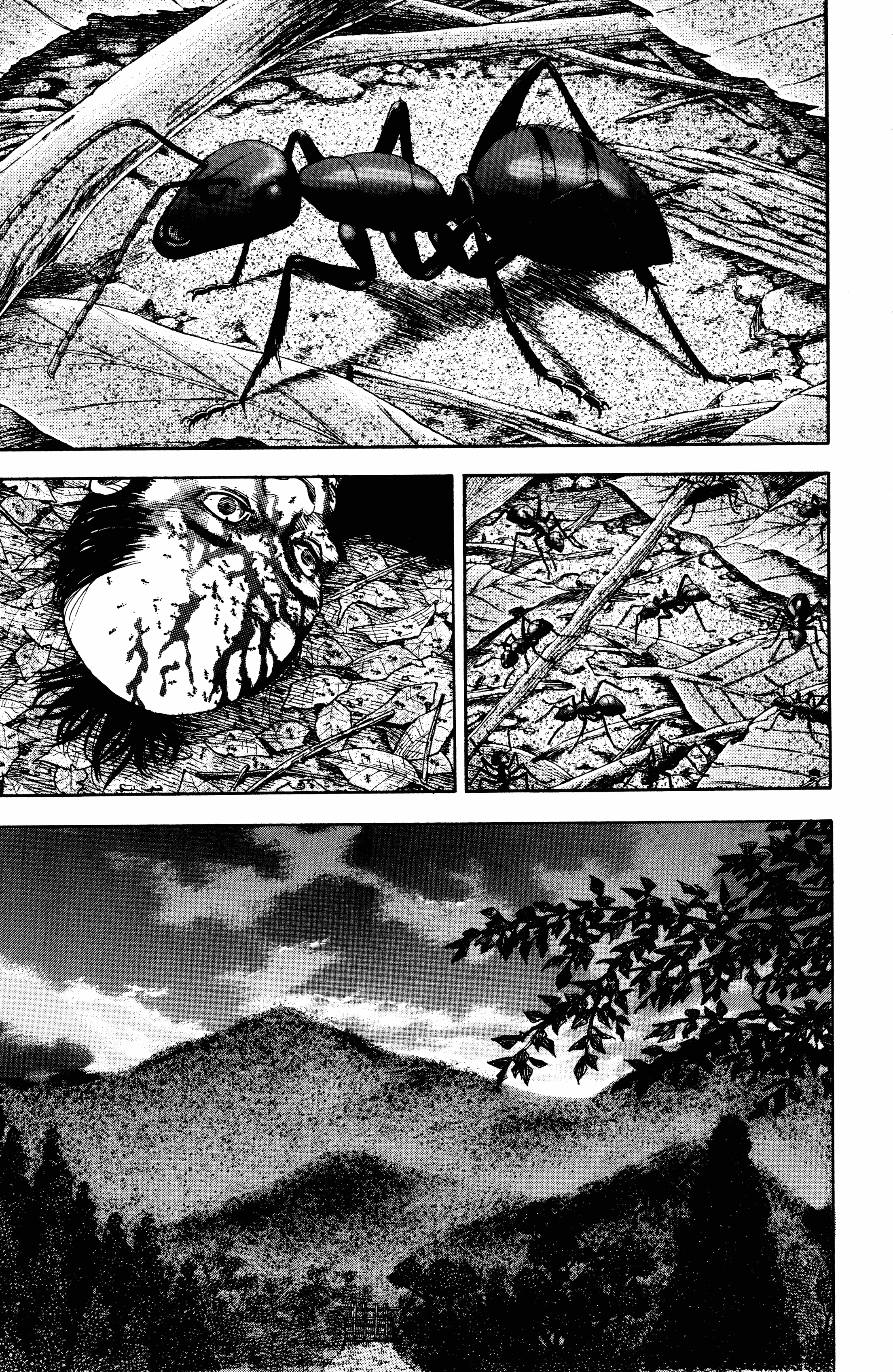 Read Vagabond ar Manga Online