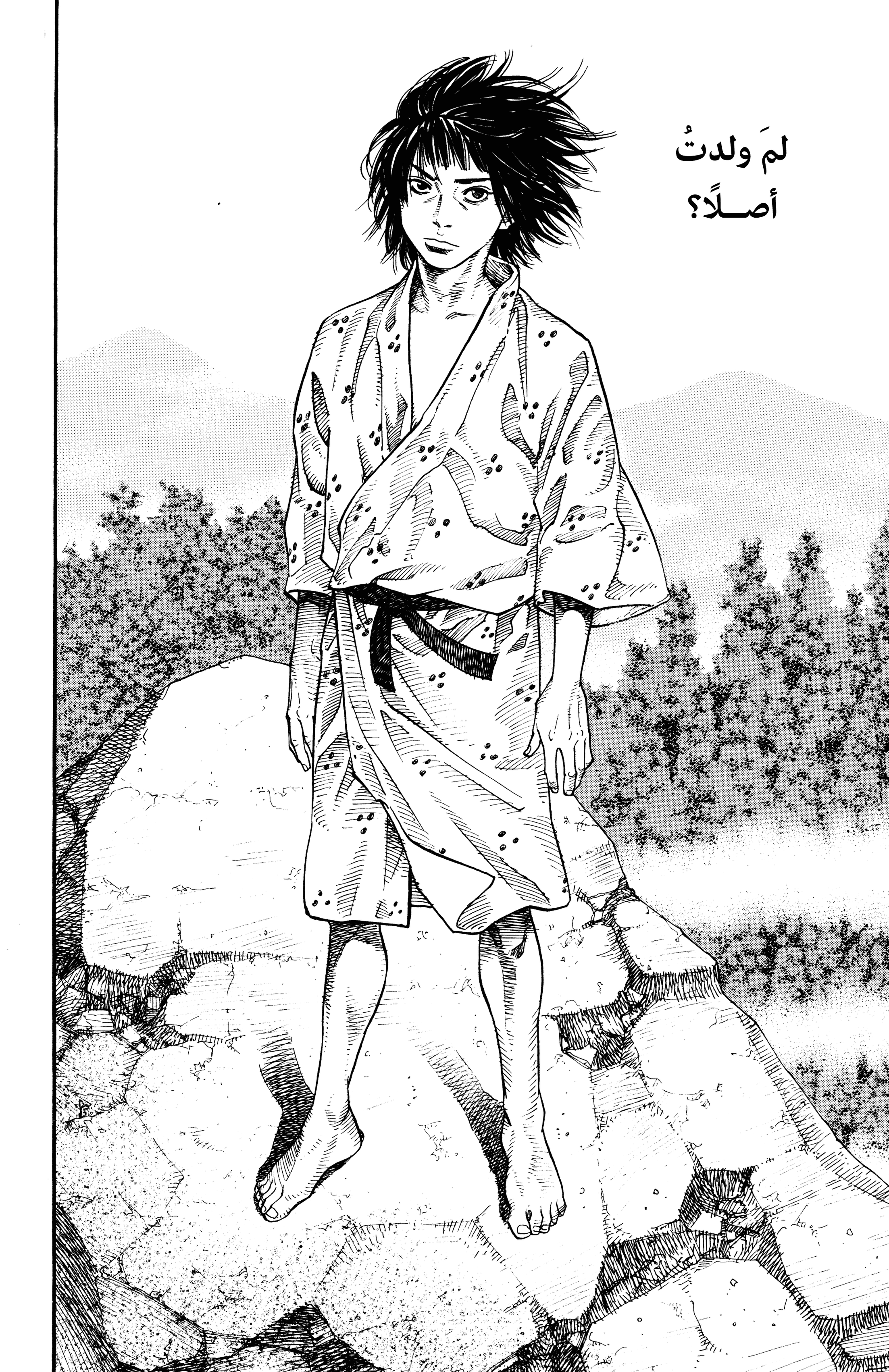 Read Vagabond ar Manga Online