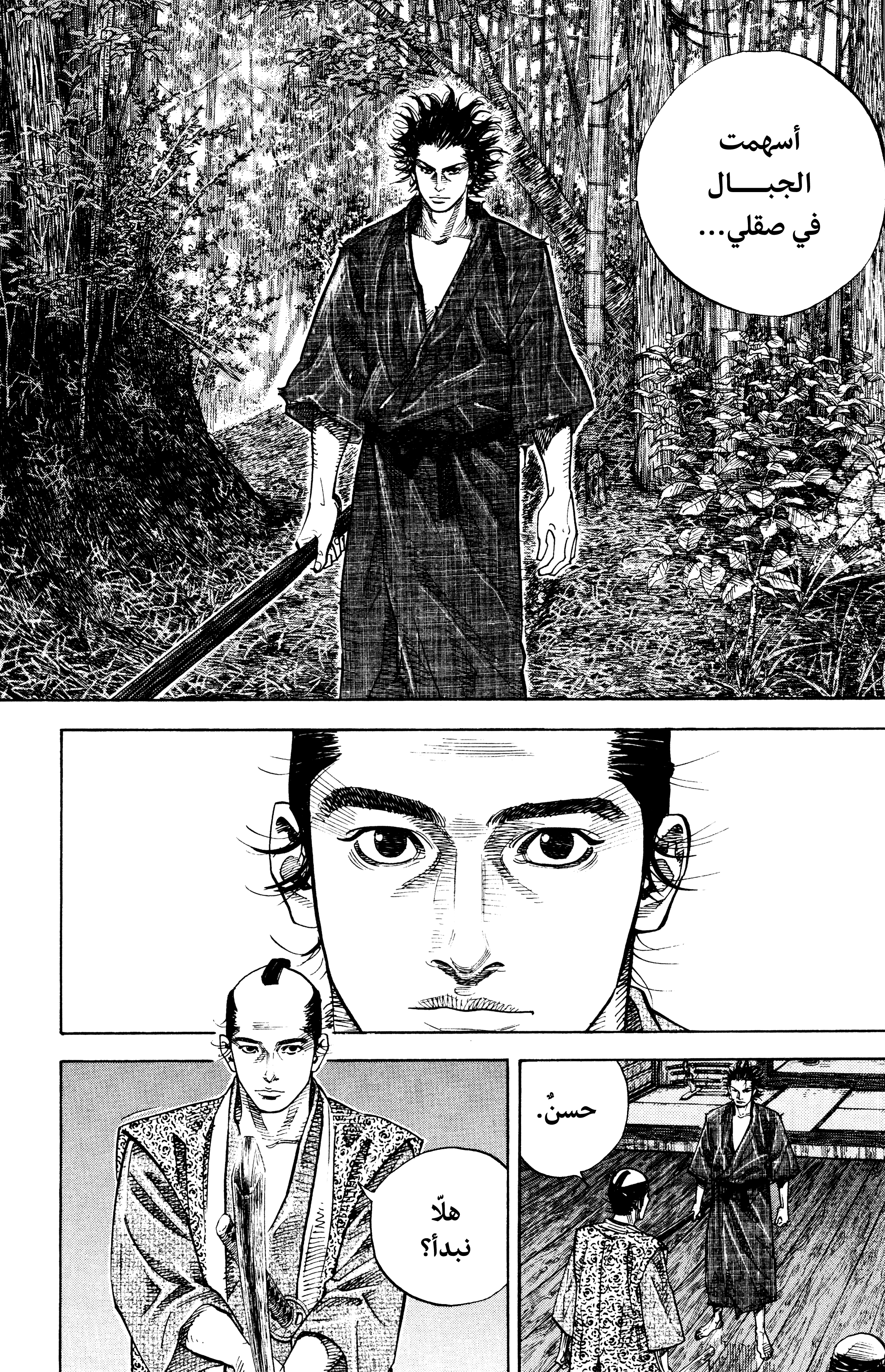 Read Vagabond ar Manga Online