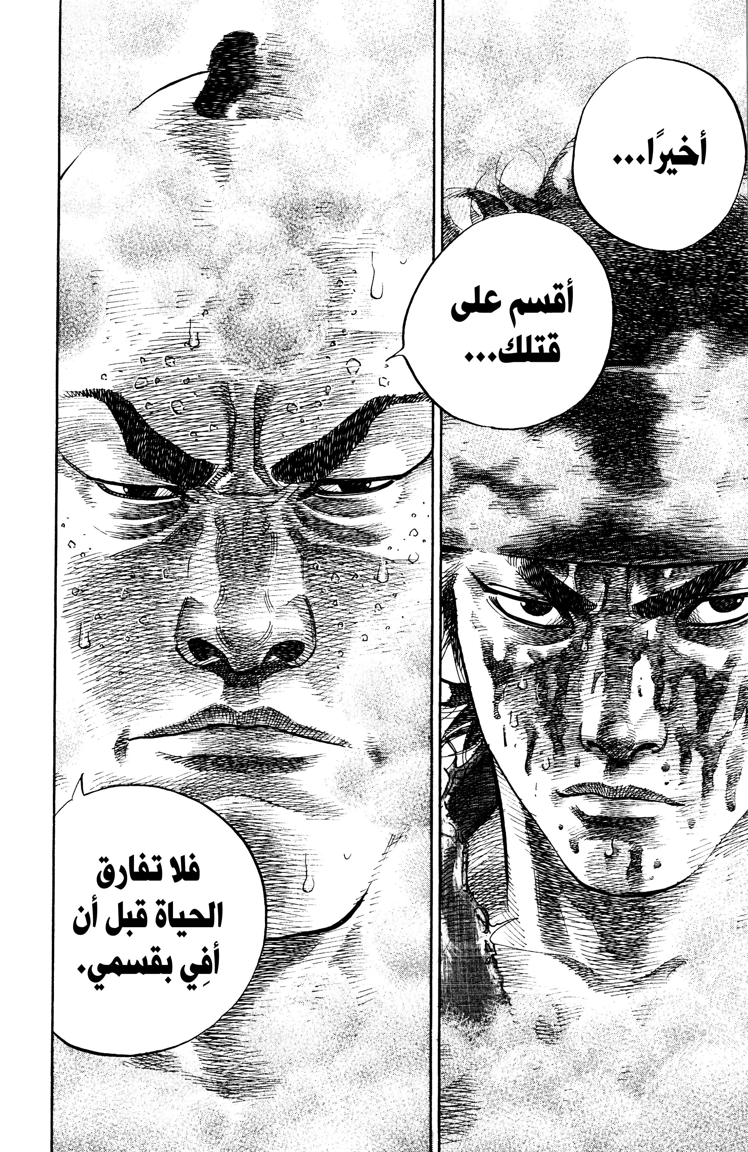 Read Vagabond ar Manga Online