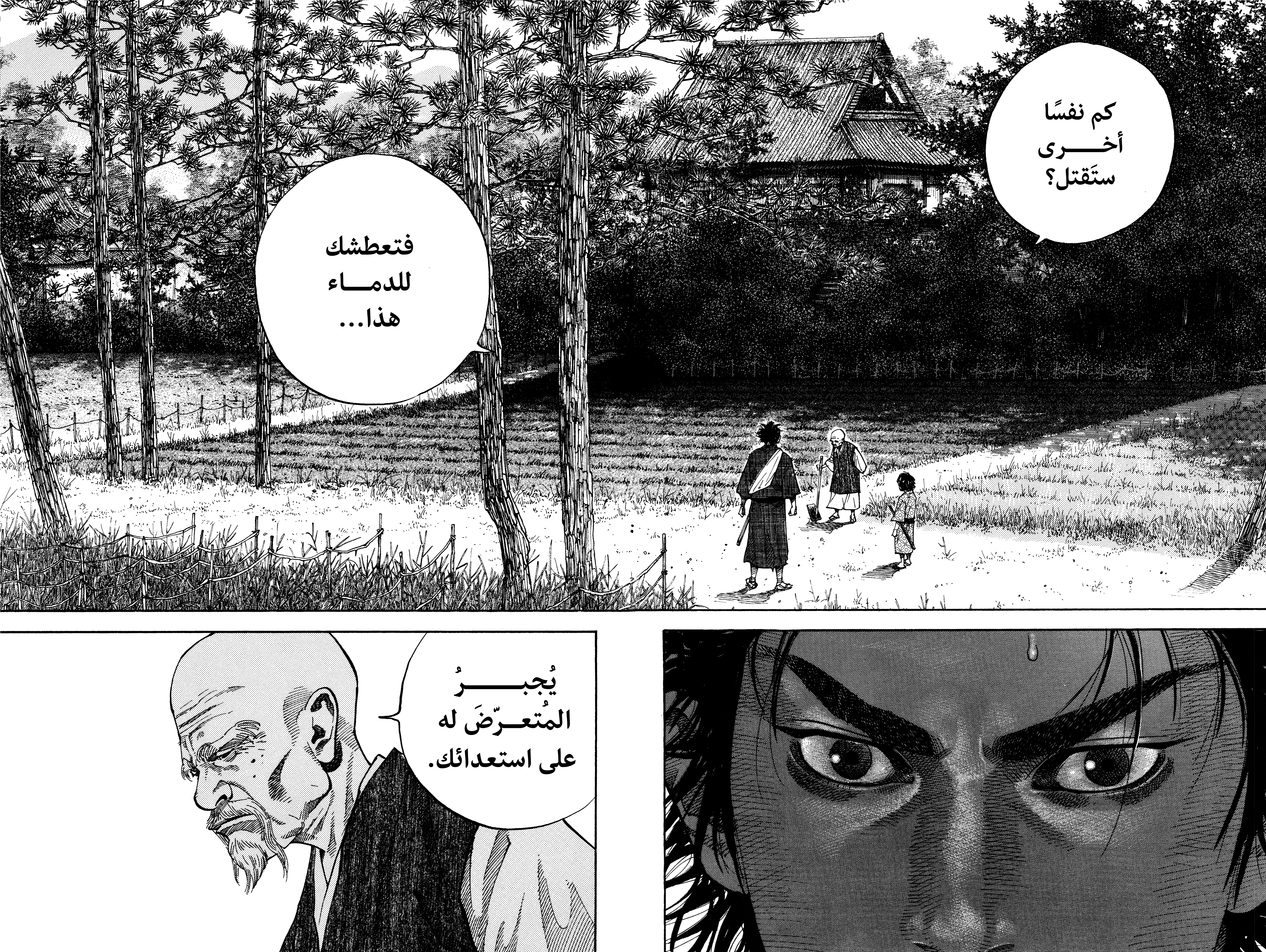 Read Vagabond ar Manga Online