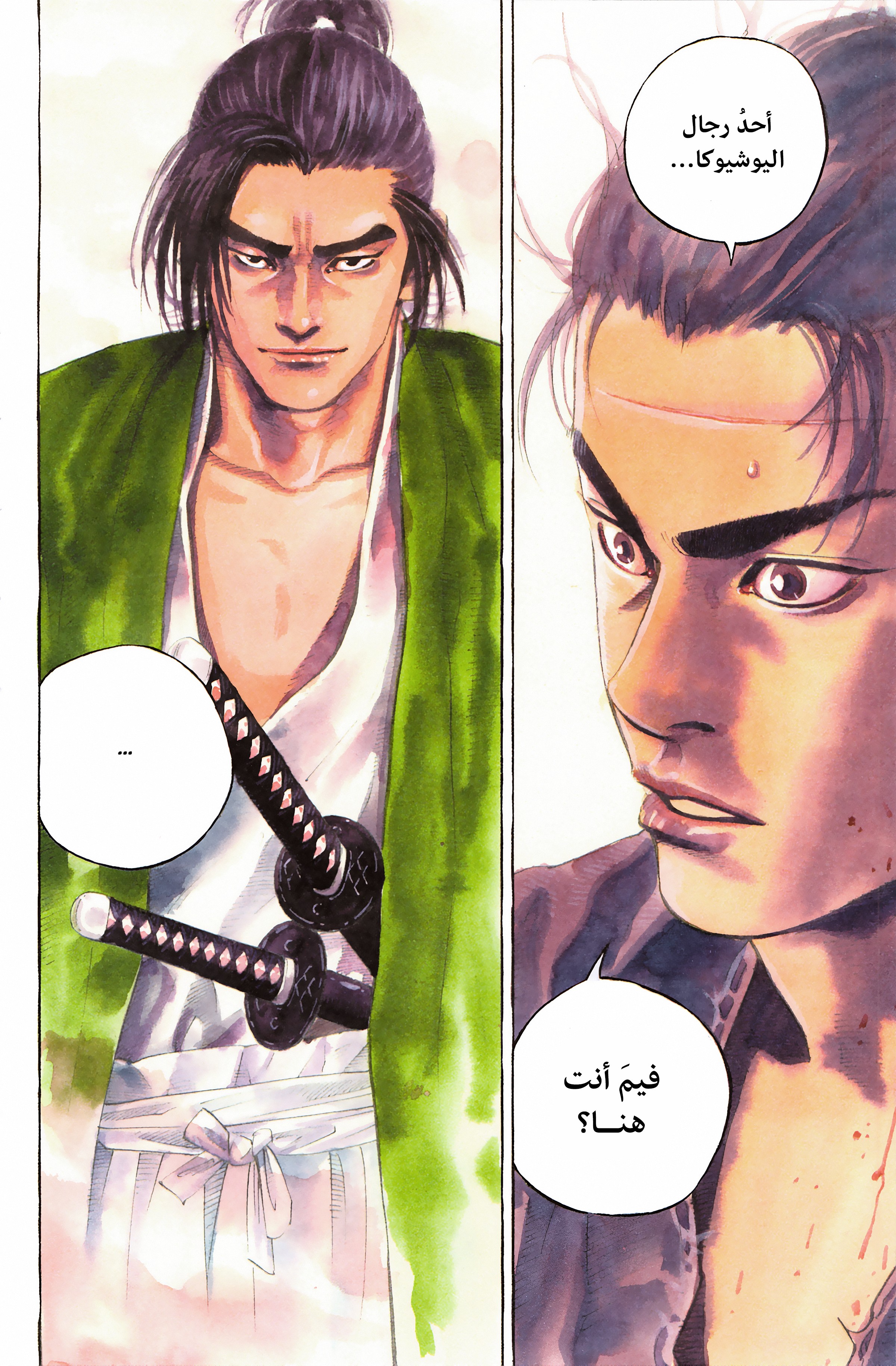 Read Vagabond ar Manga Online