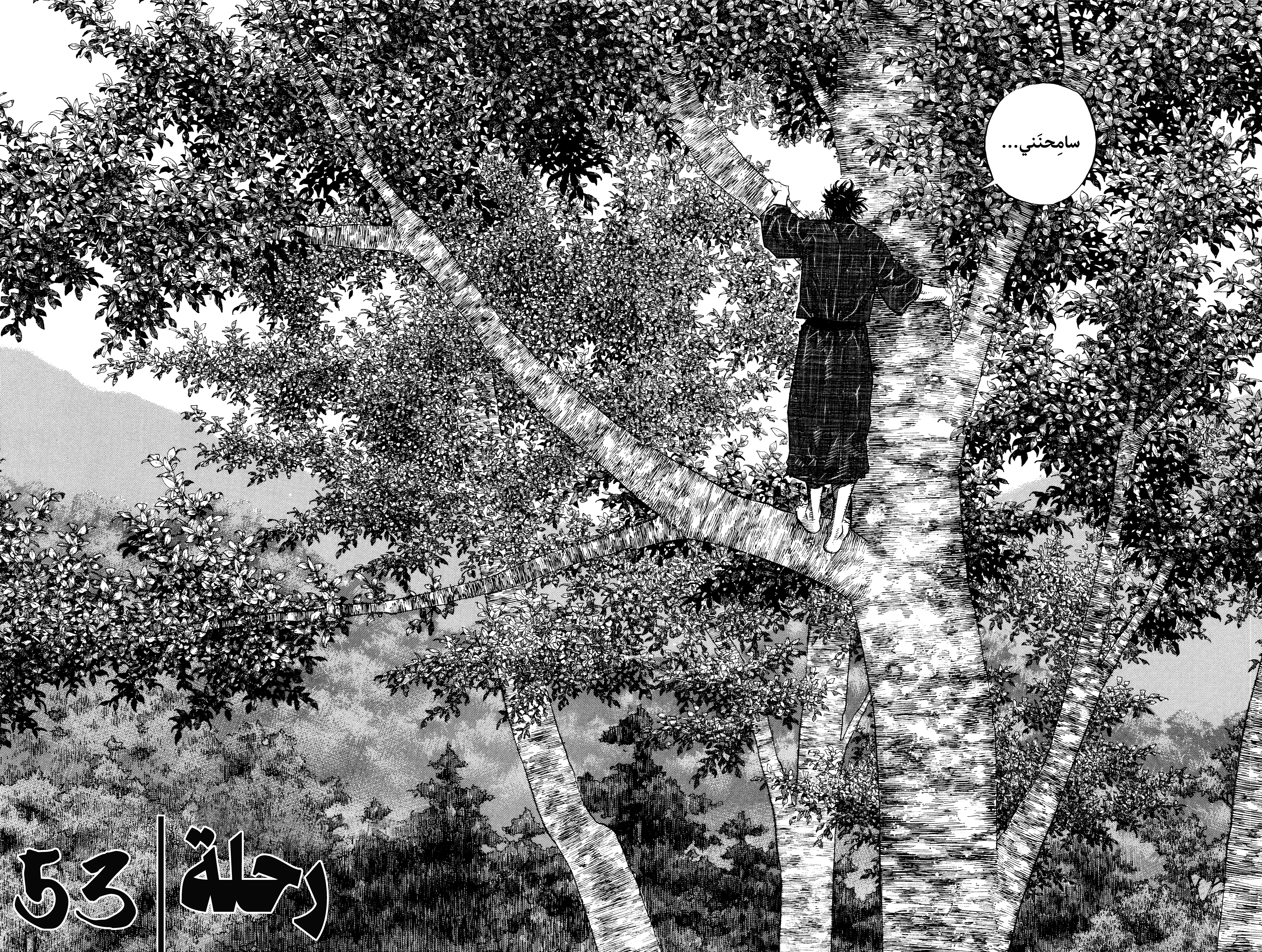 Read Vagabond ar Manga Online