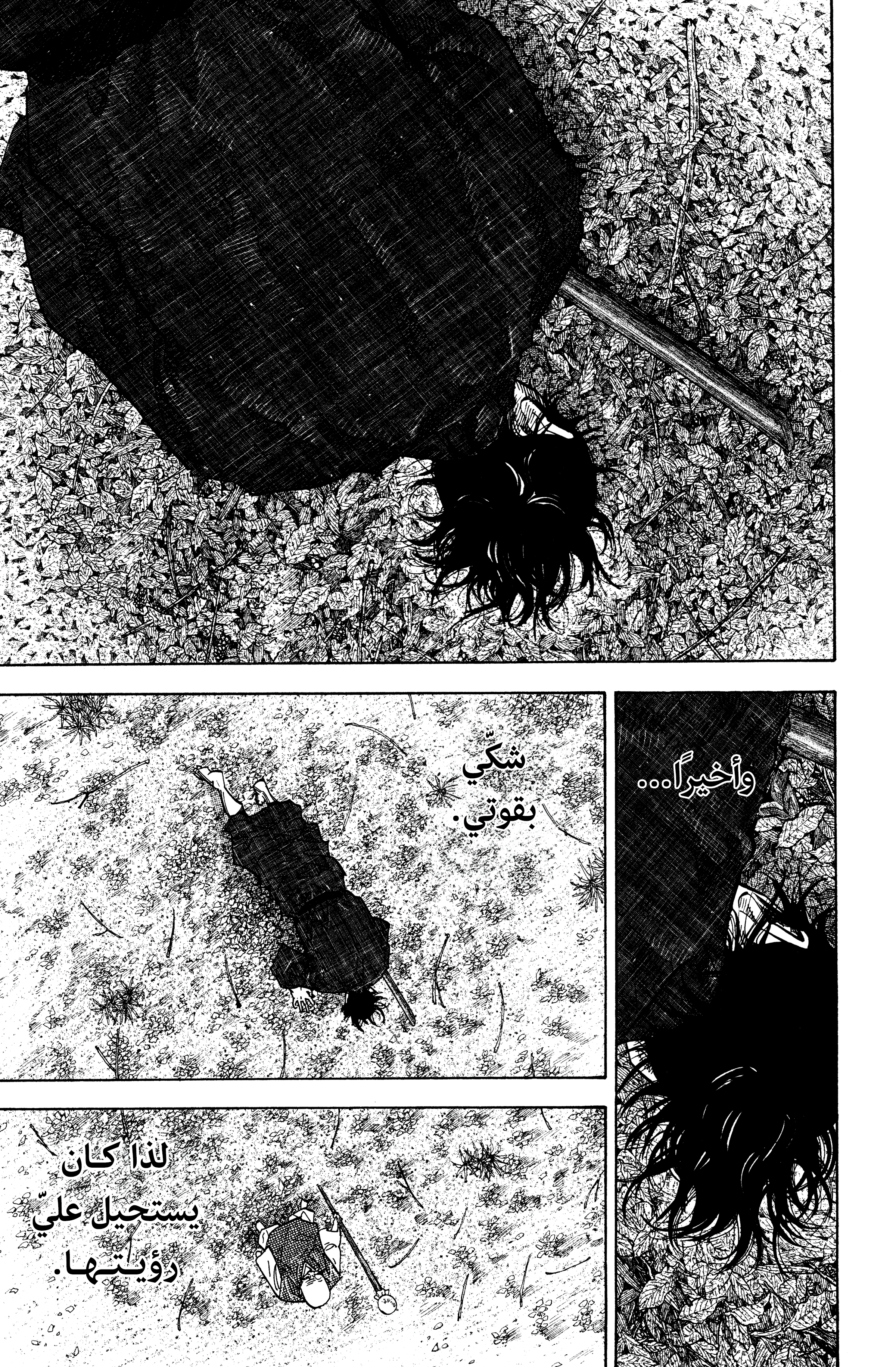 Read Vagabond ar Manga Online
