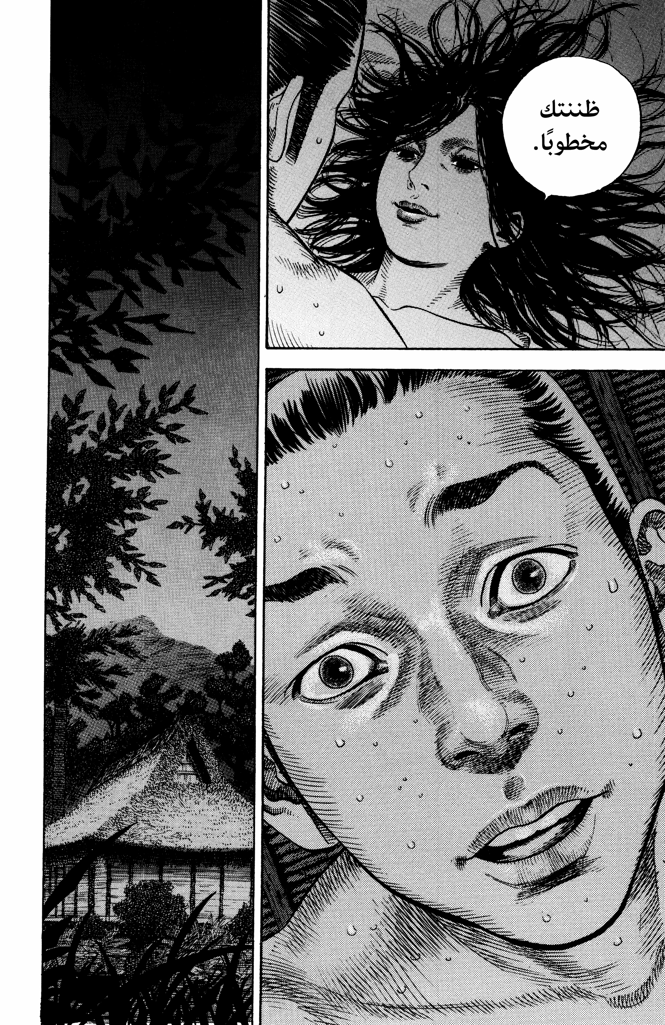 Read Vagabond ar Manga Online