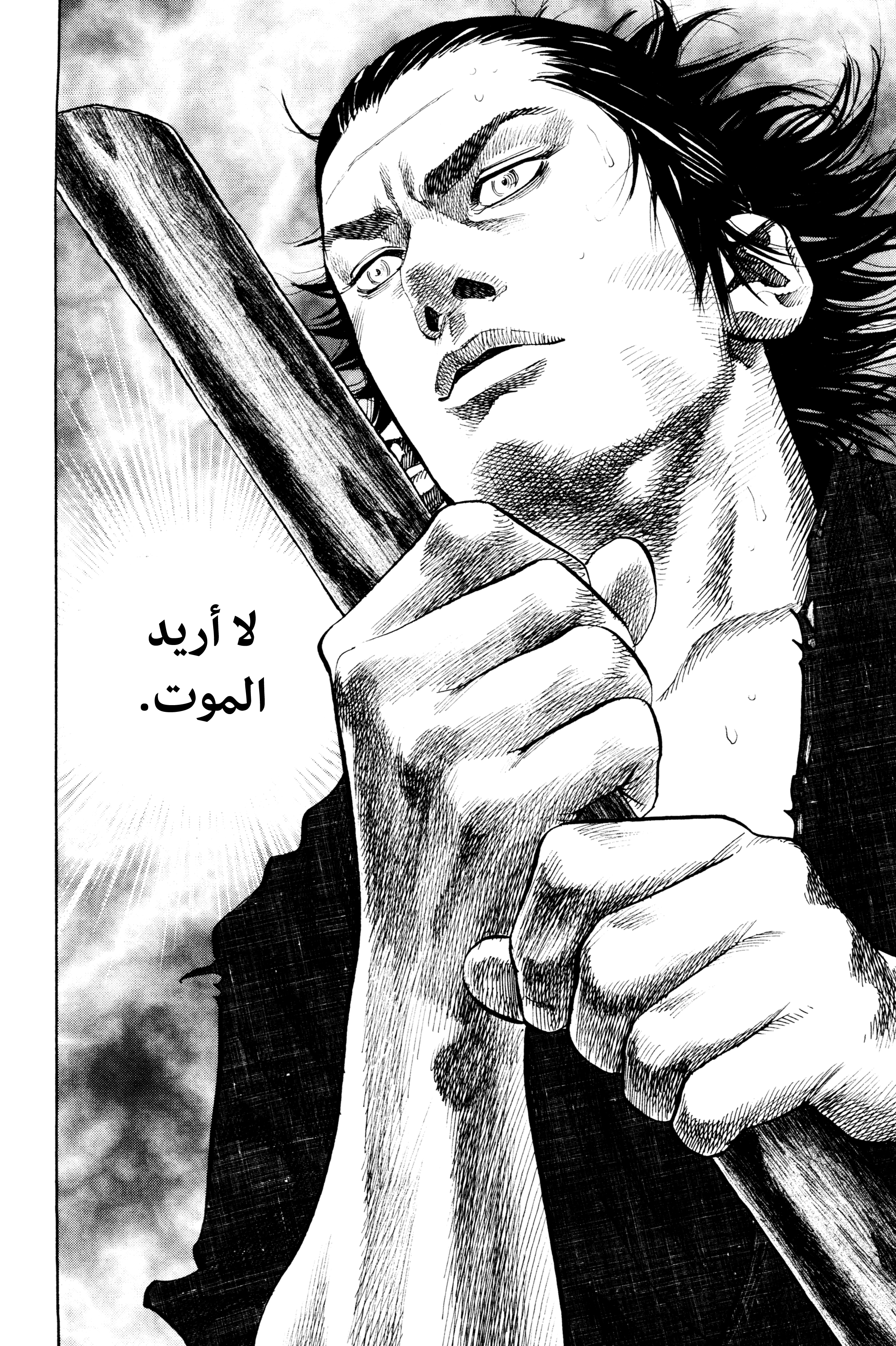 Read Vagabond ar Manga Online