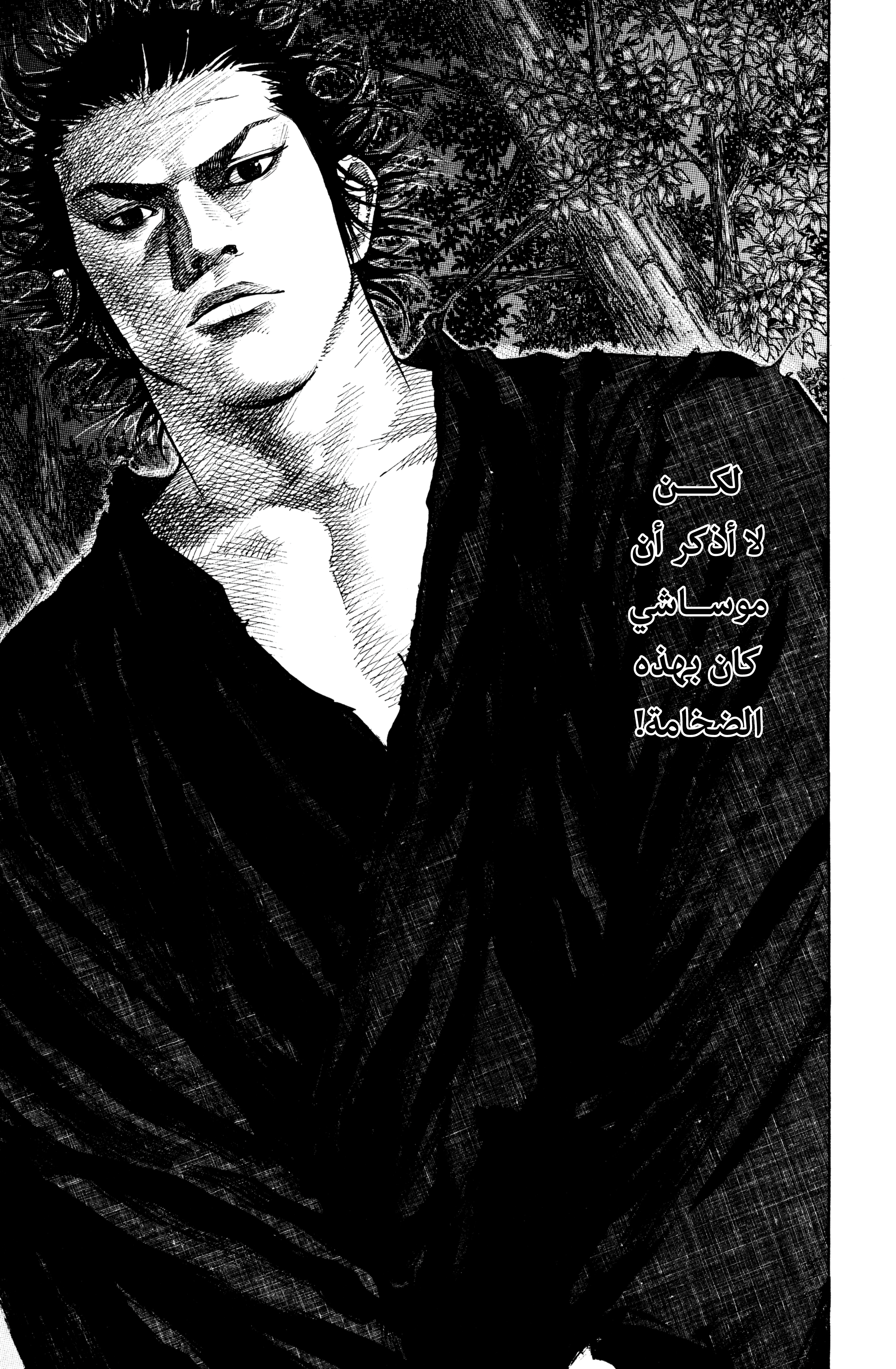 Read Vagabond ar Manga Online