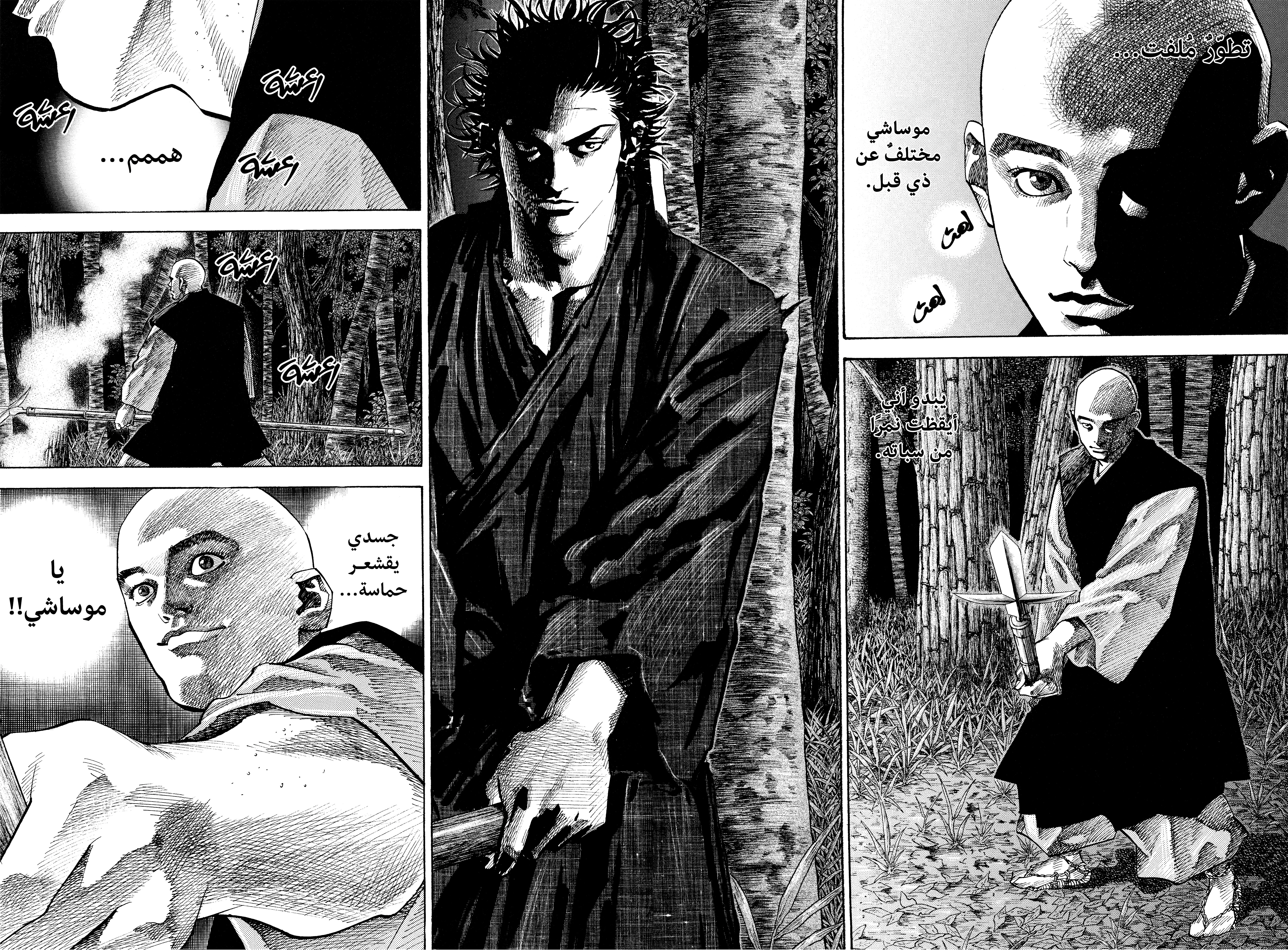 Read Vagabond ar Manga Online