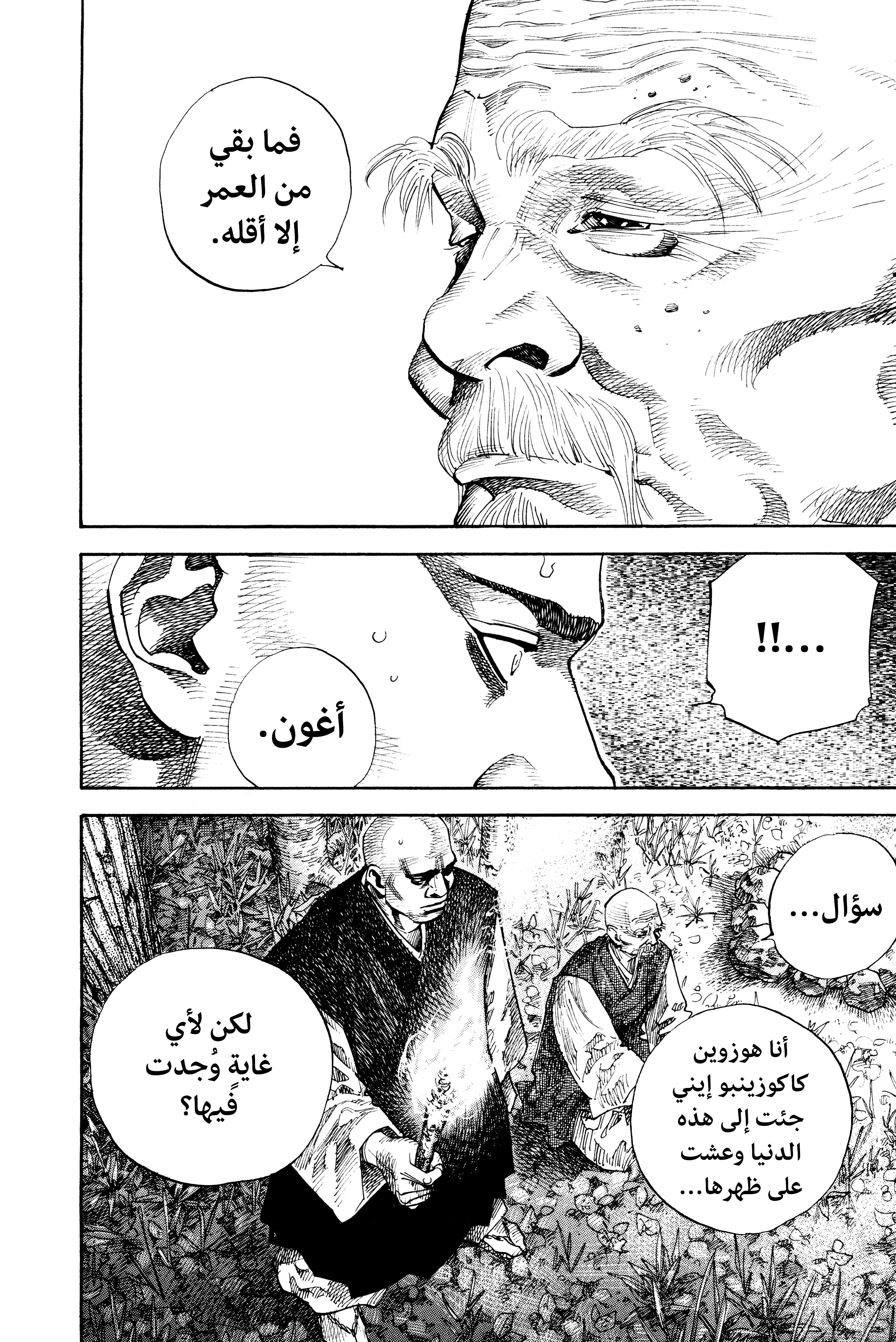 Read Vagabond ar Manga Online