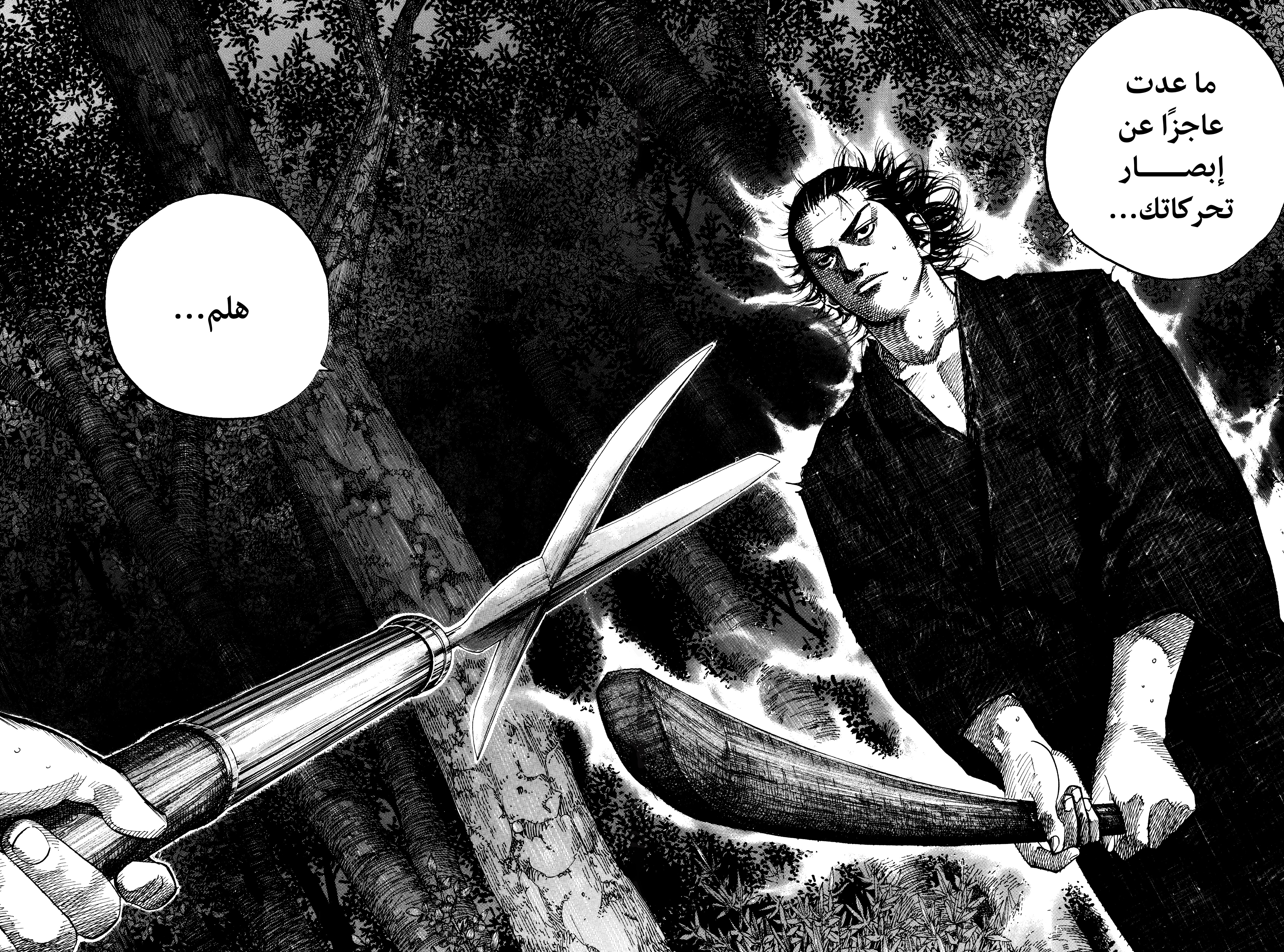 Read Vagabond ar Manga Online