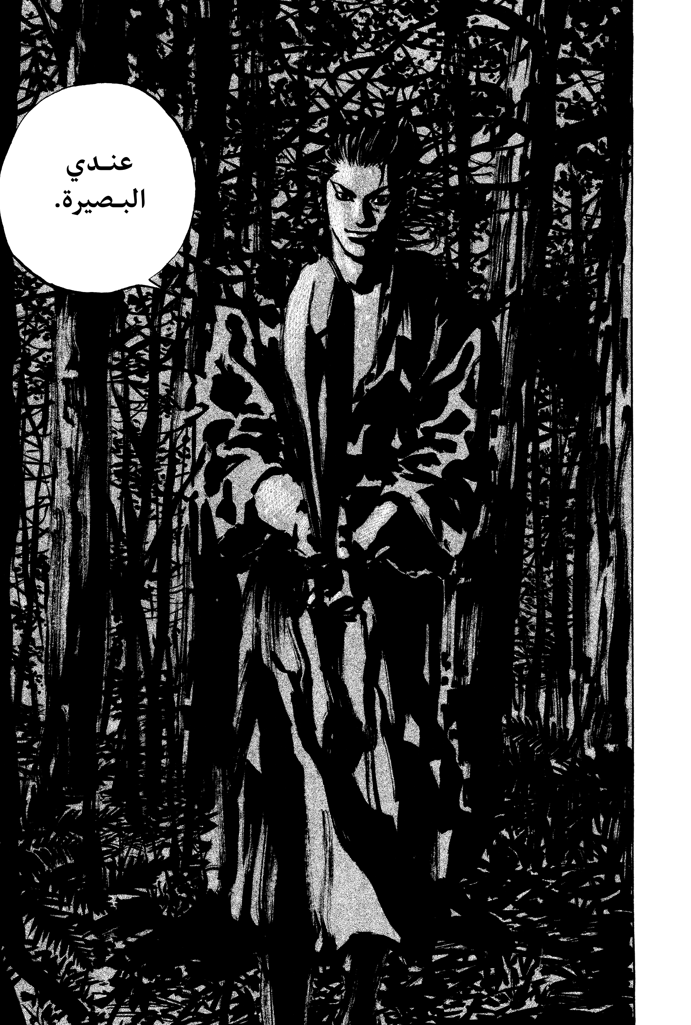 Read Vagabond ar Manga Online