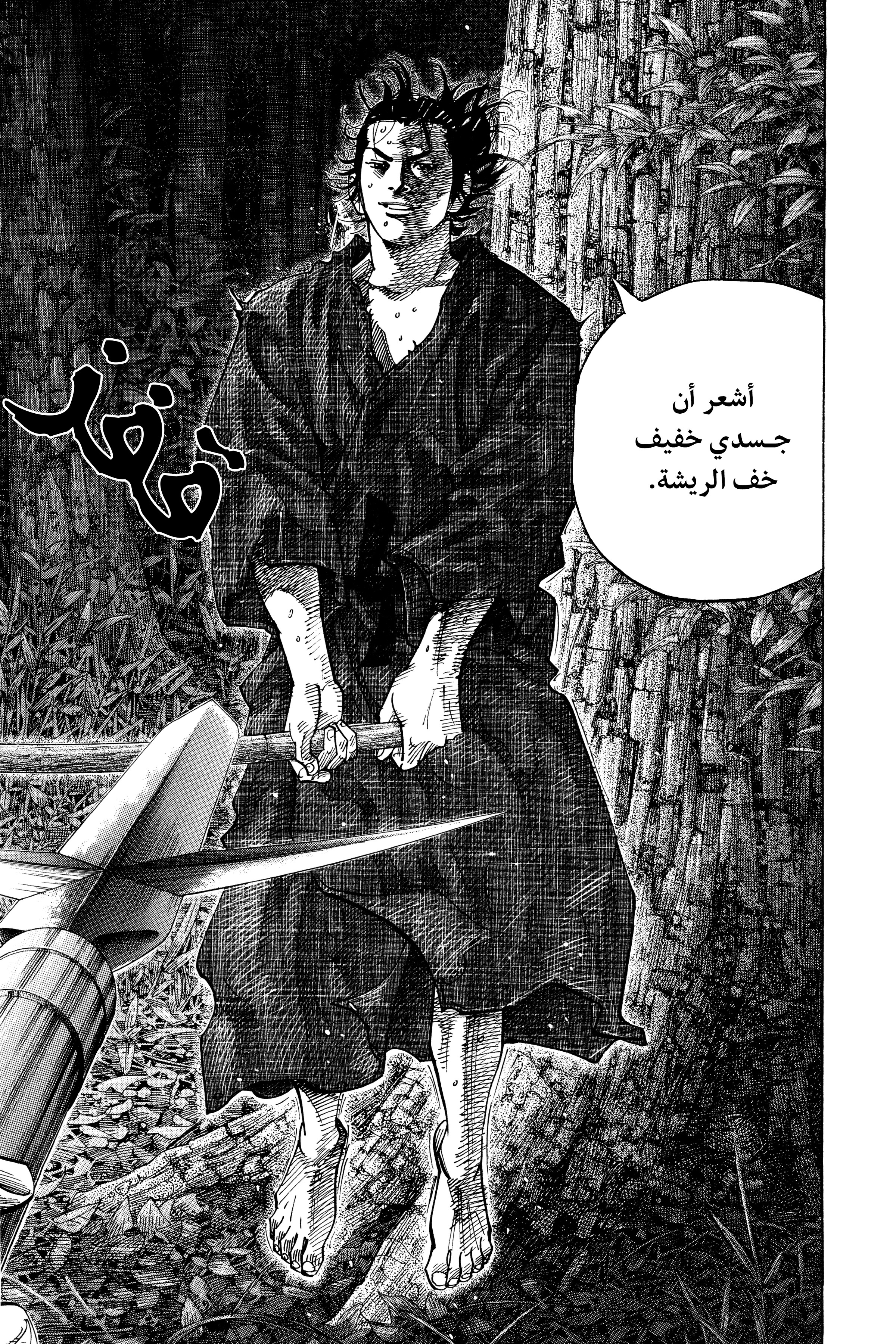 Read Vagabond ar Manga Online