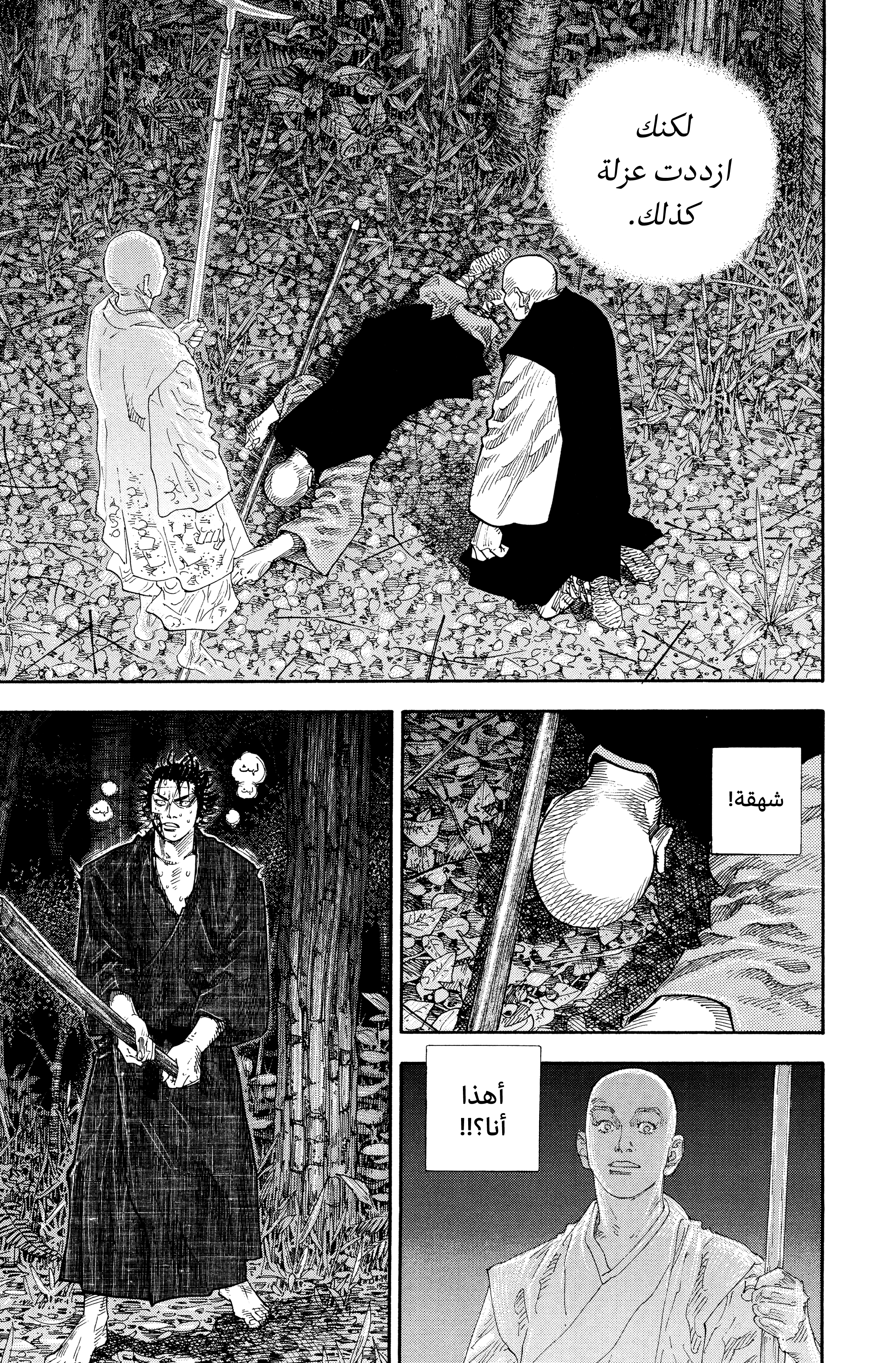 Read Vagabond ar Manga Online