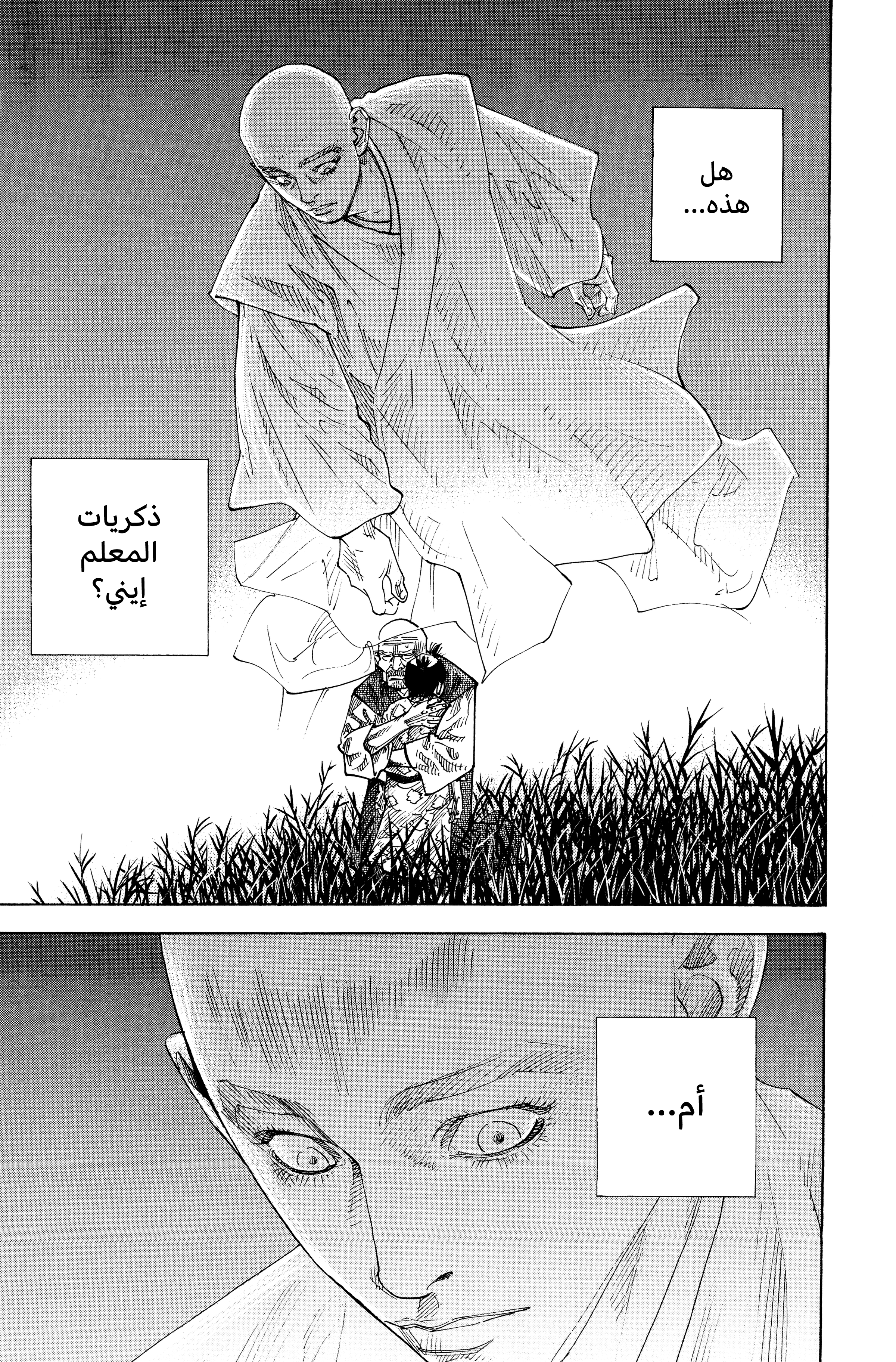 Read Vagabond ar Manga Online