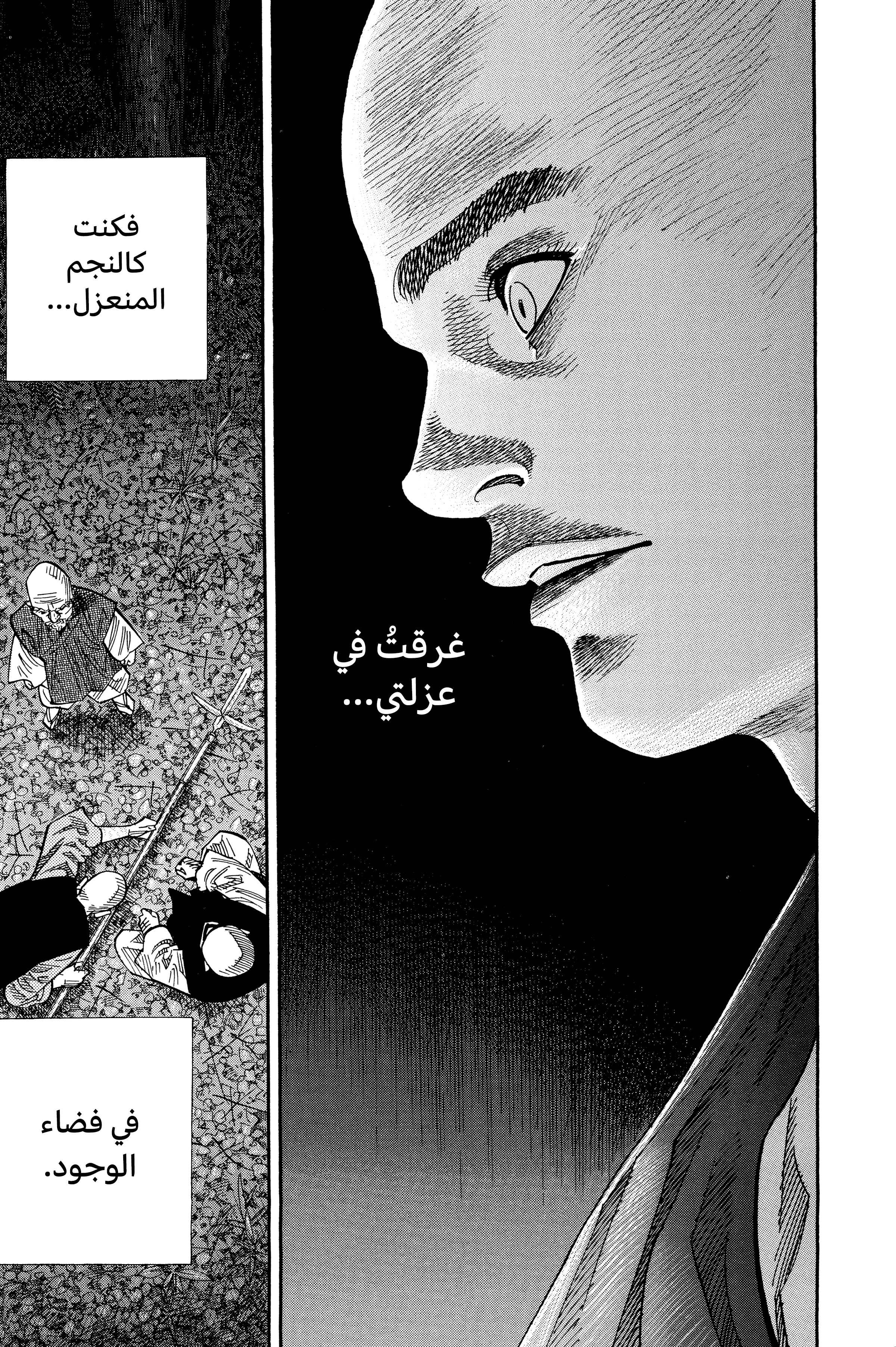 Read Vagabond ar Manga Online