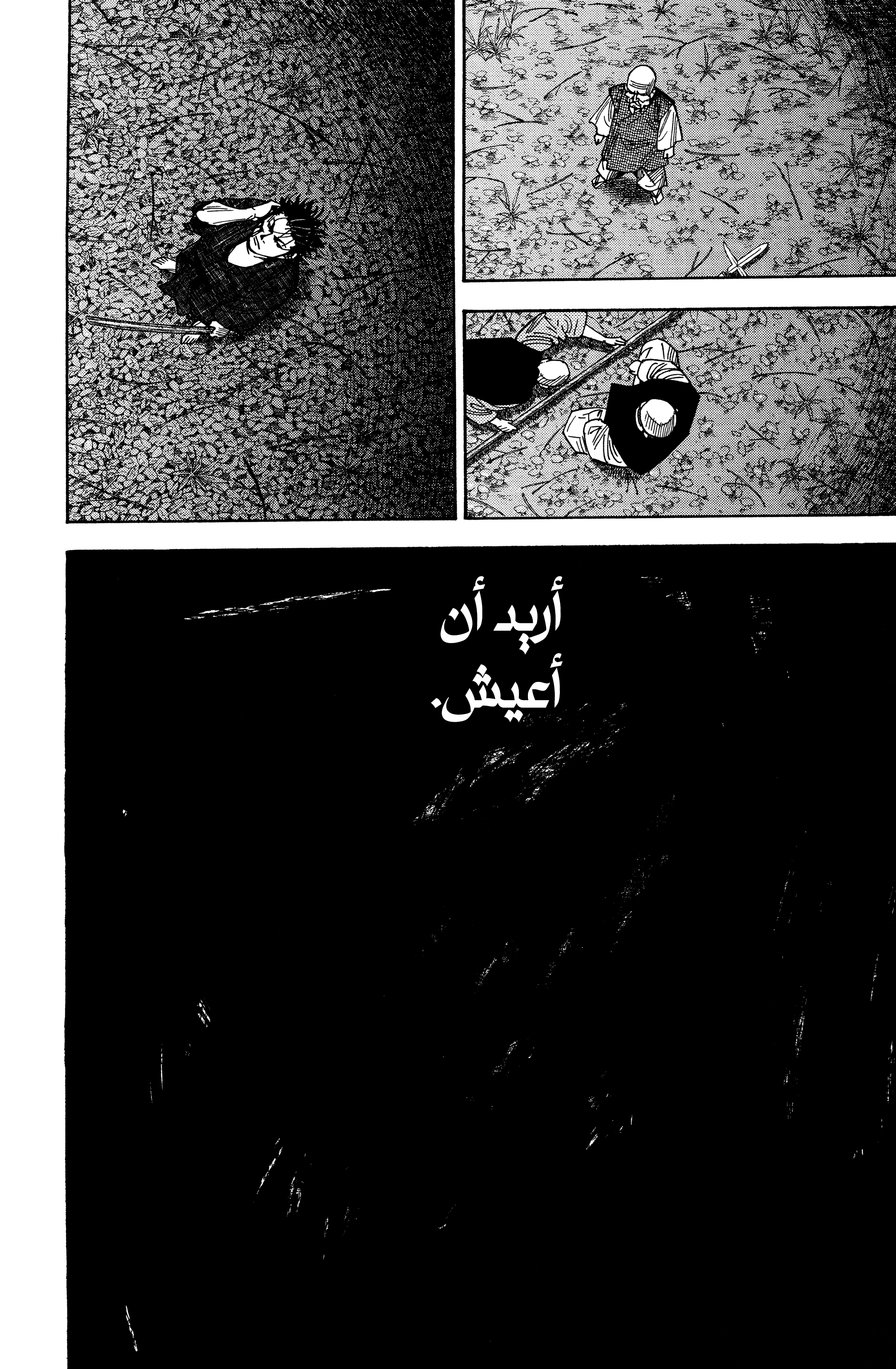 Read Vagabond ar Manga Online