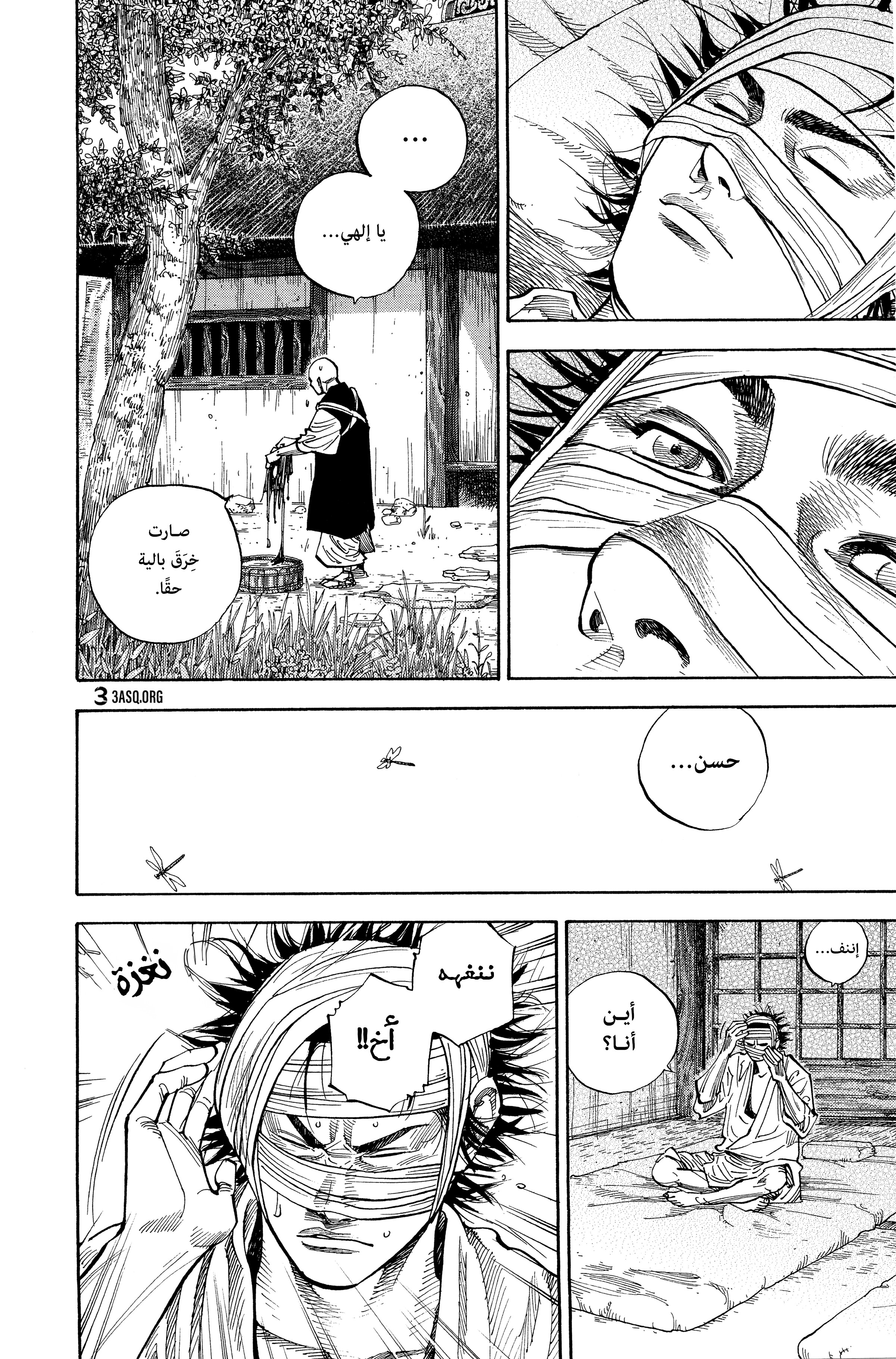 Read Vagabond ar Manga Online