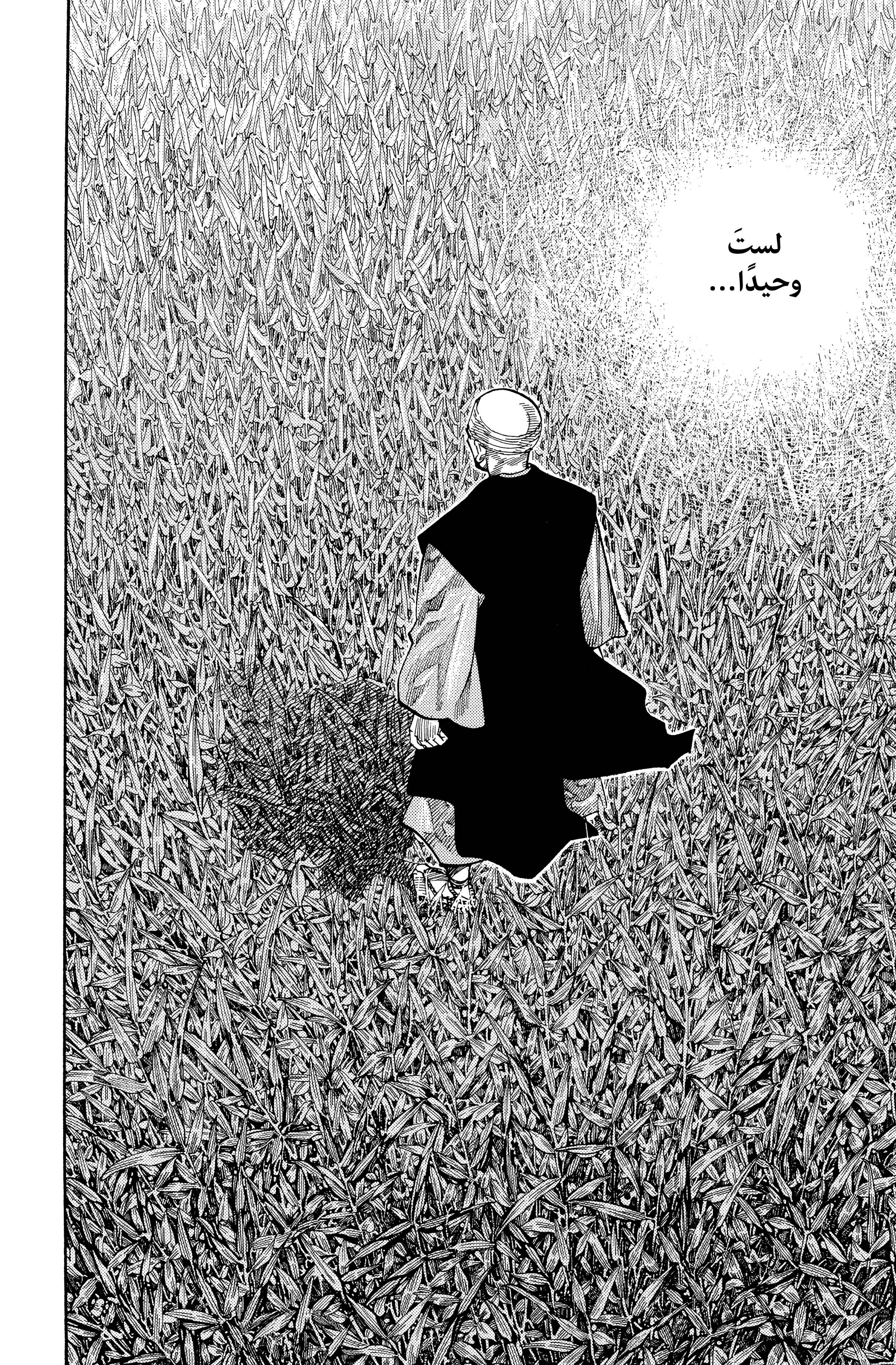 Read Vagabond ar Manga Online