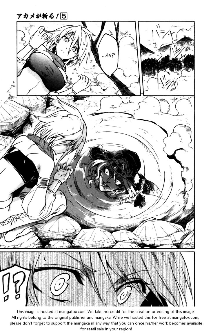 Read Akame ga Kill! en Manga Online
