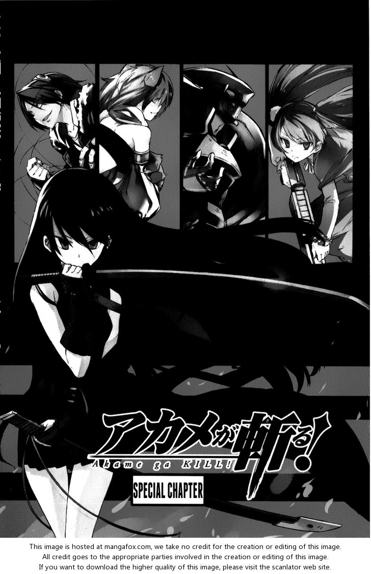 Read Akame ga Kill! en Manga Online