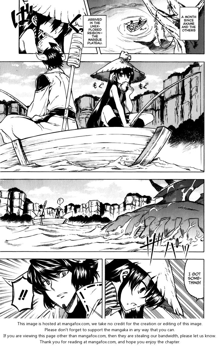 Read Akame ga Kill! en Manga Online