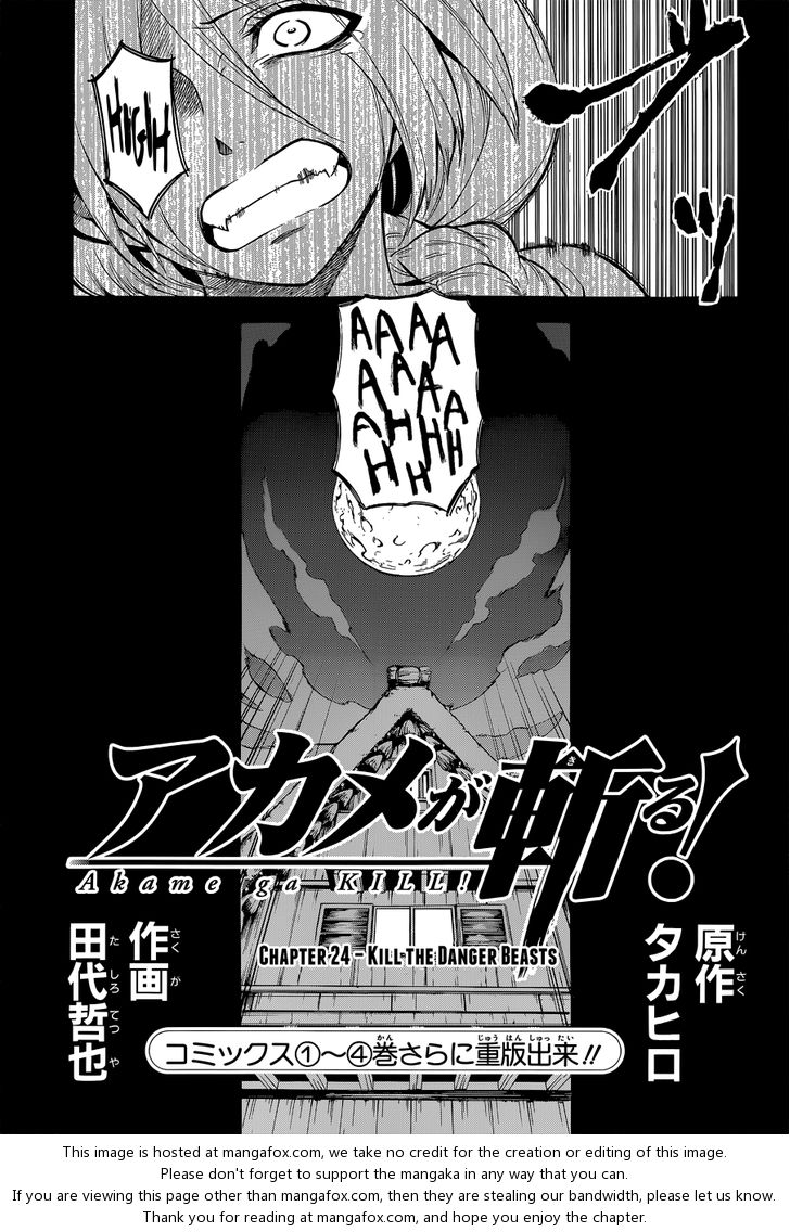 Read Akame ga Kill! en Manga Online