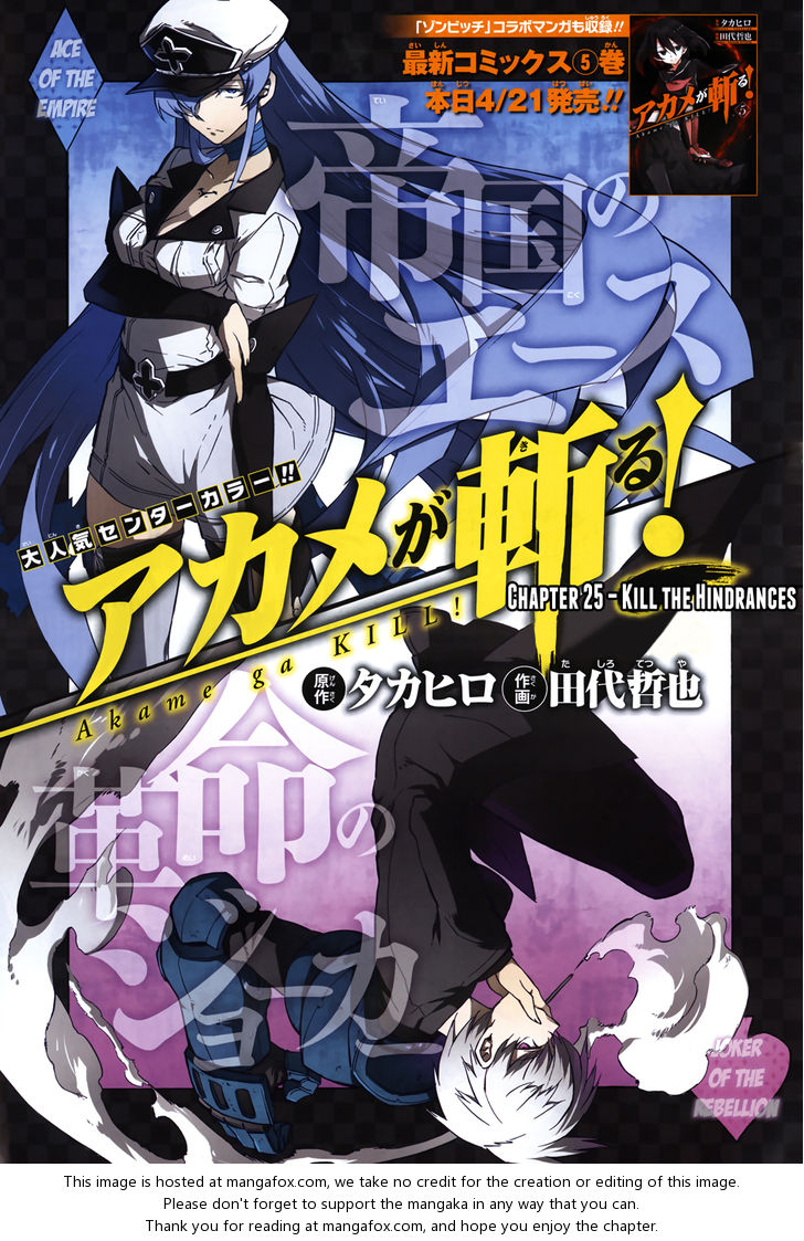 Read Akame ga Kill! en Manga Online
