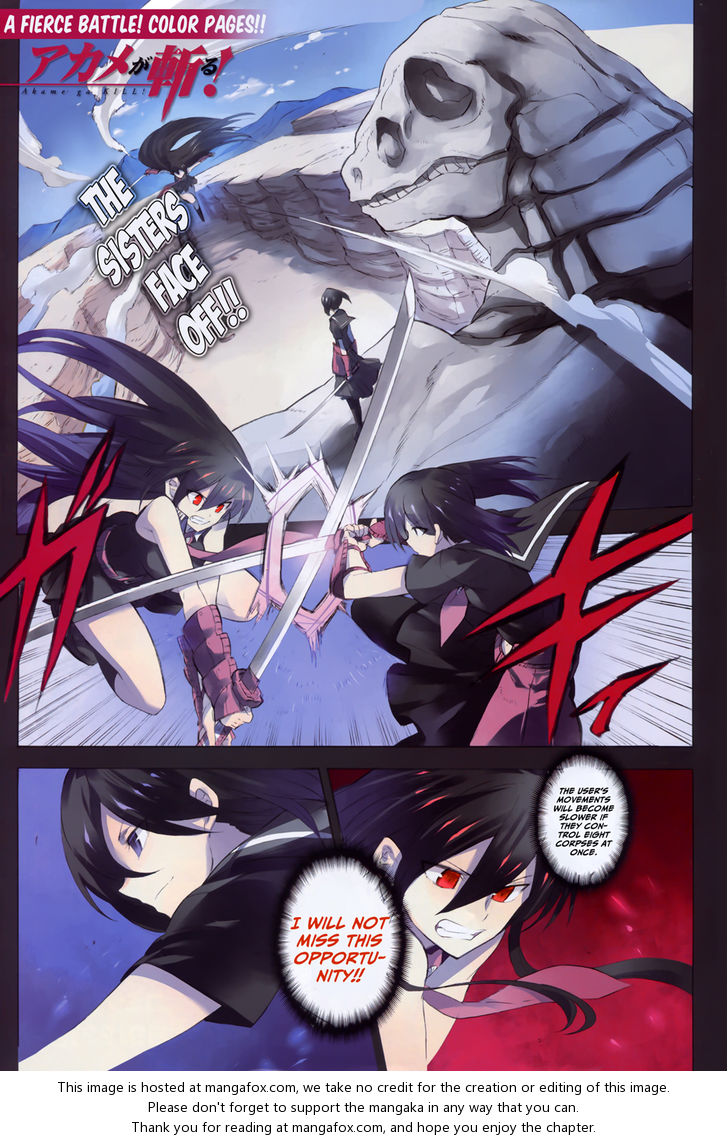 Read Akame ga Kill! en Manga Online