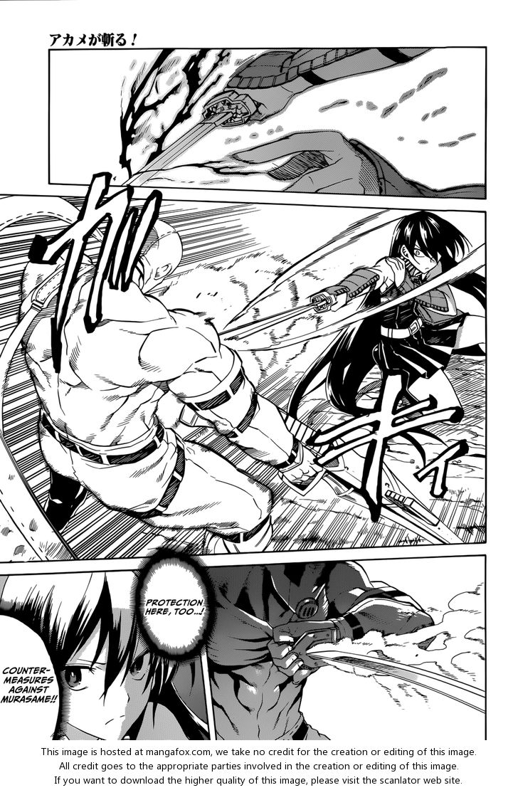 Read Akame ga Kill! en Manga Online