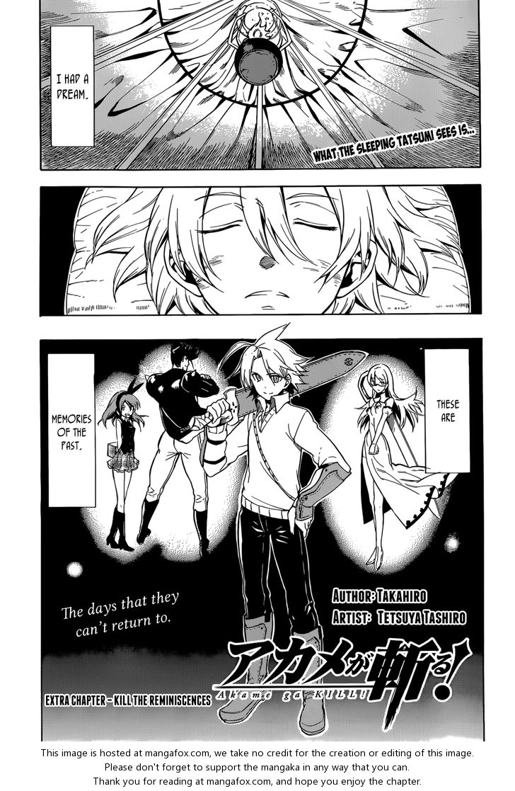 Read Akame ga Kill! en Manga Online