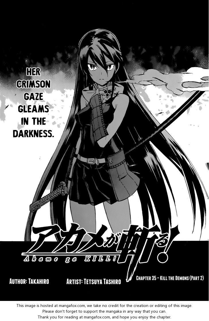 Read Akame ga Kill! en Manga Online