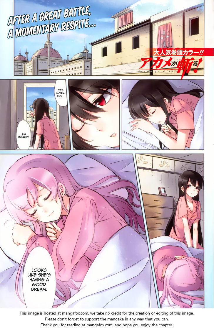 Read Akame ga Kill! en Manga Online