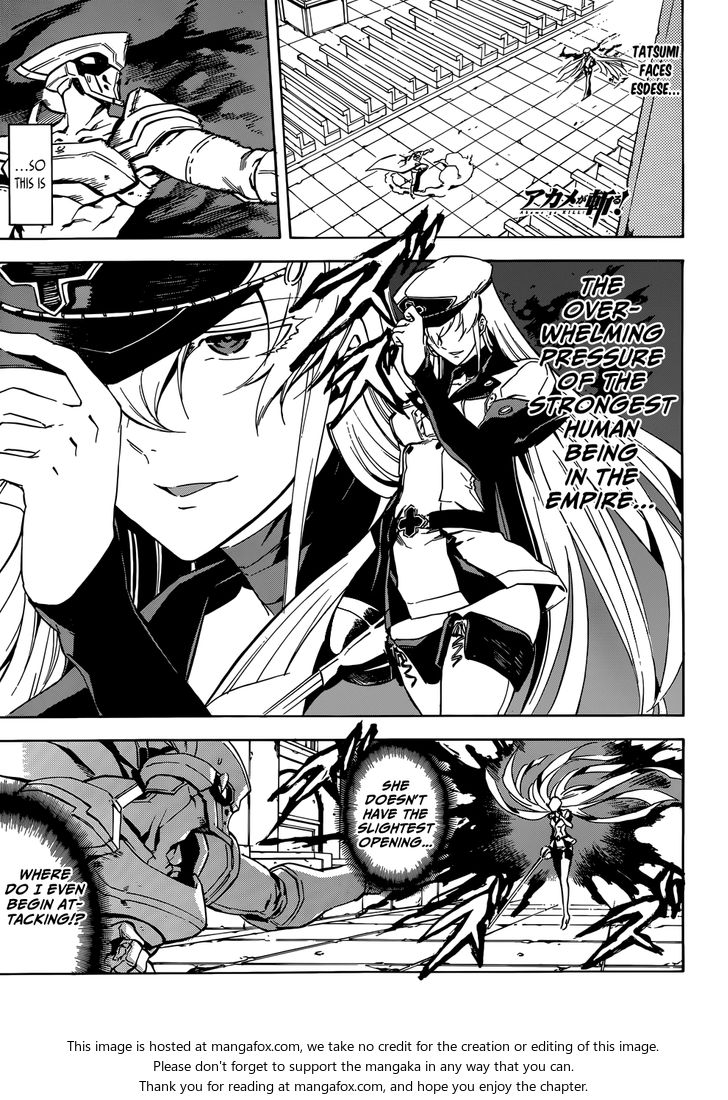 Read Akame ga Kill! en Manga Online