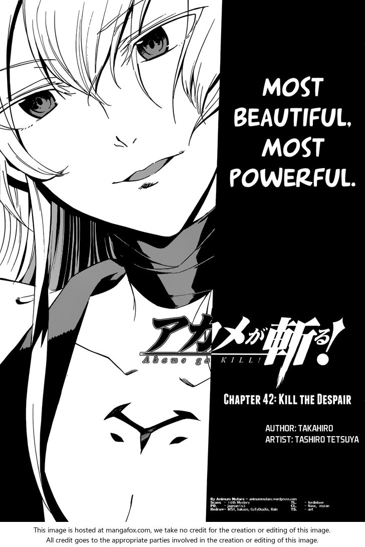 Read Akame ga Kill! en Manga Online