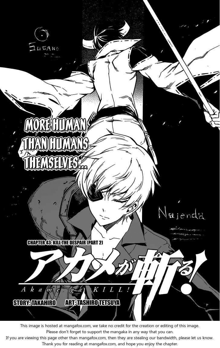 Read Akame ga Kill! en Manga Online