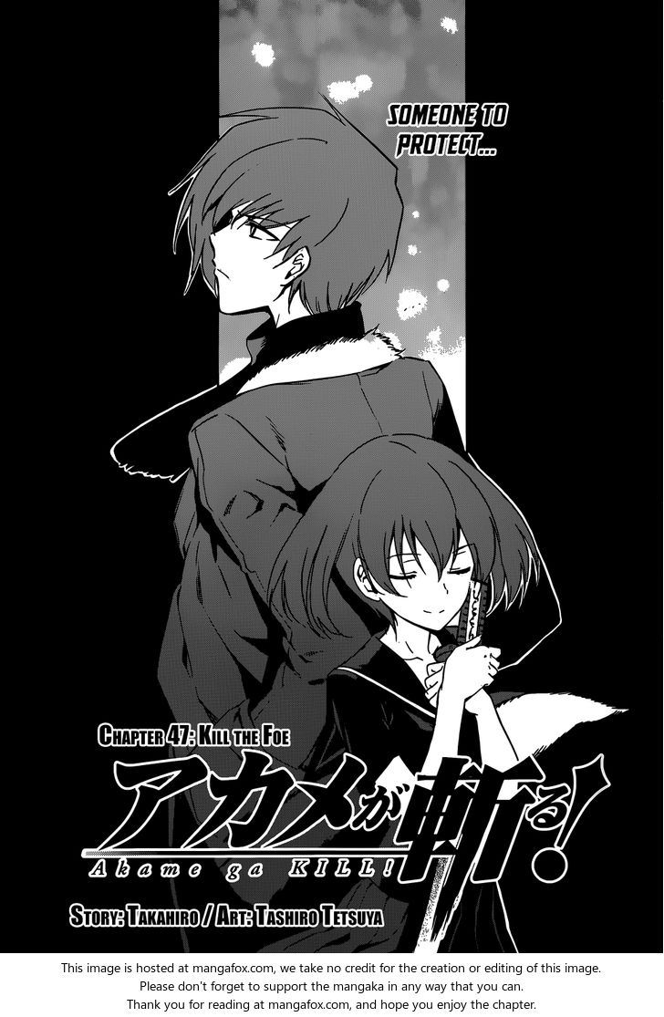 Read Akame ga Kill! en Manga Online