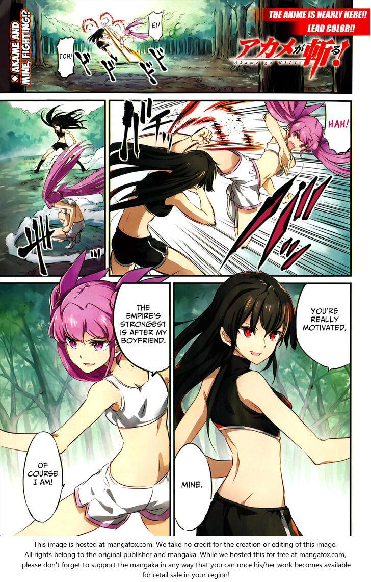 Read Akame ga Kill! en Manga Online