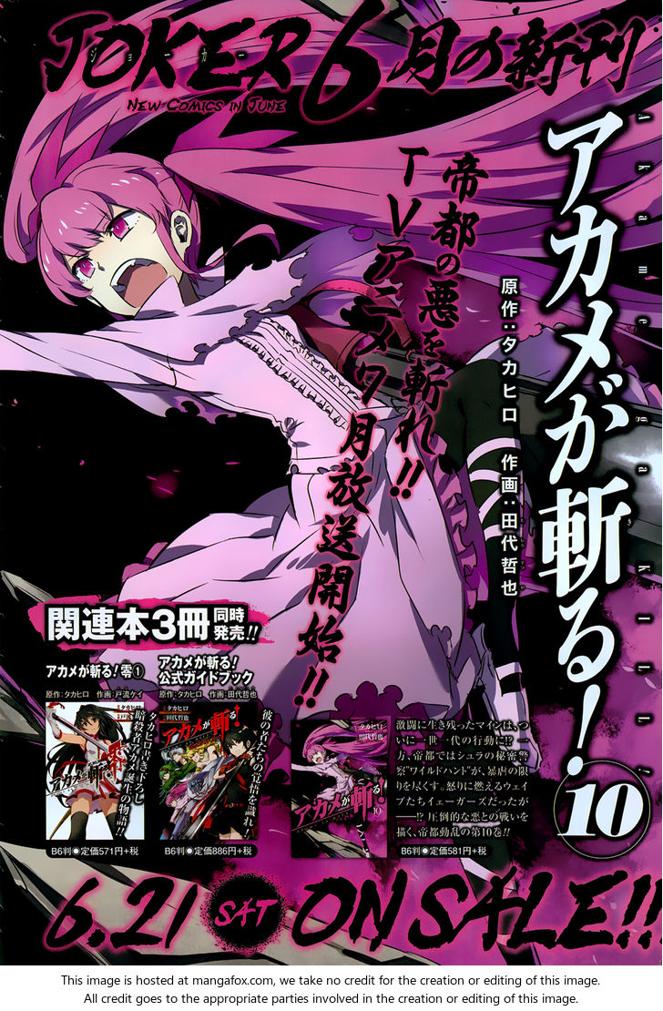 Read Akame ga Kill! en Manga Online