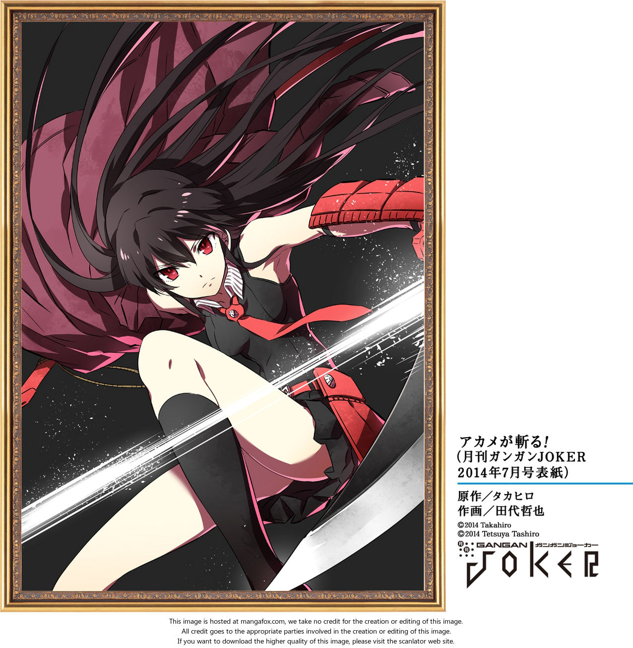 Read Akame ga Kill! en Manga Online