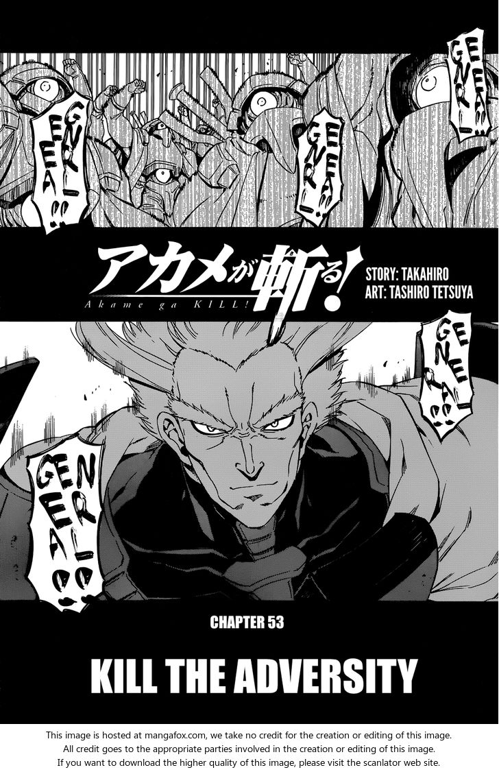 Read Akame ga Kill! en Manga Online